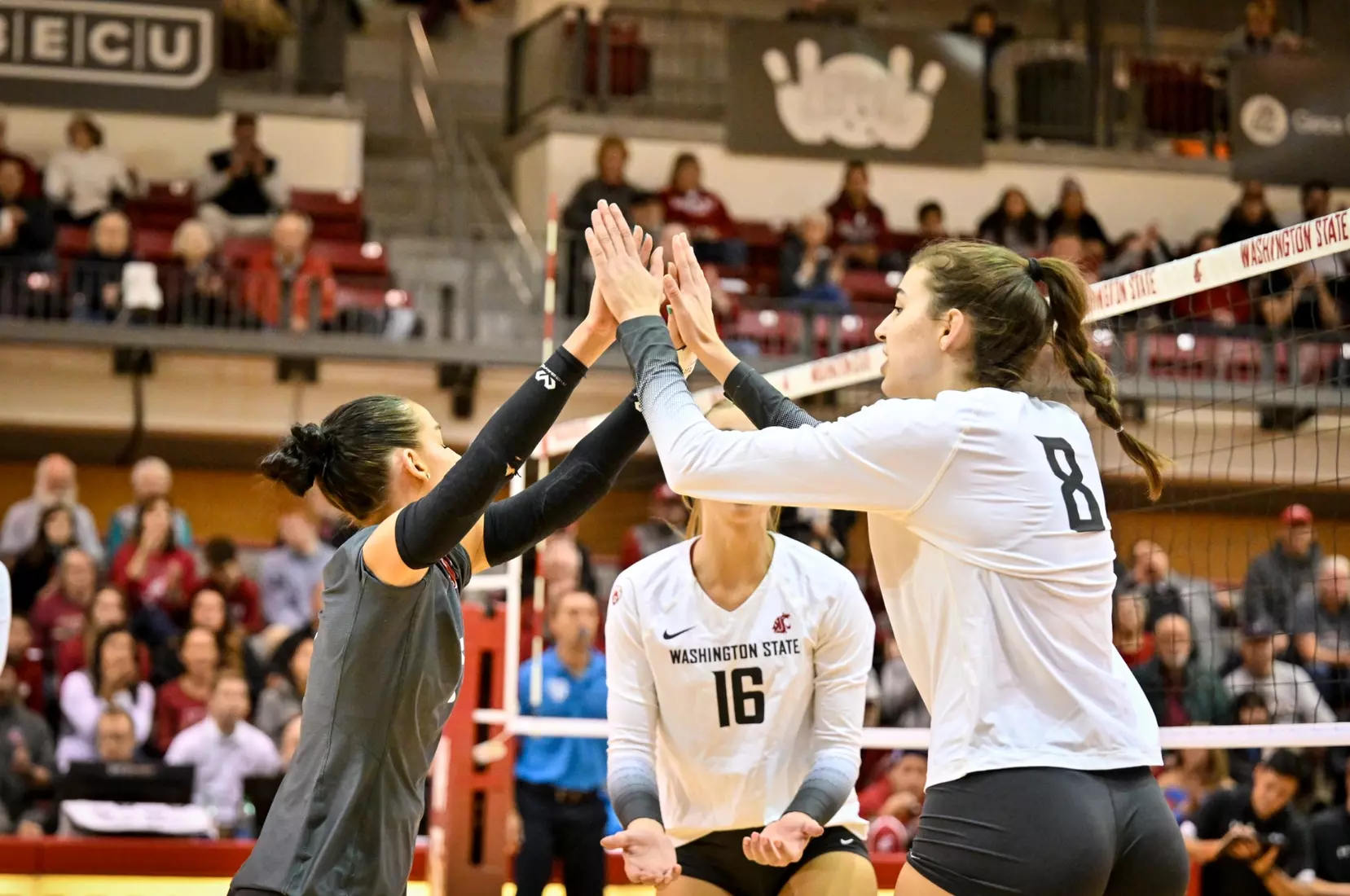 Washington State volleyball defeated Utah, 3-0 (25-20, 25-12, 25-18) on Friday, Nov. 18, 2022 in Bohler Gym.