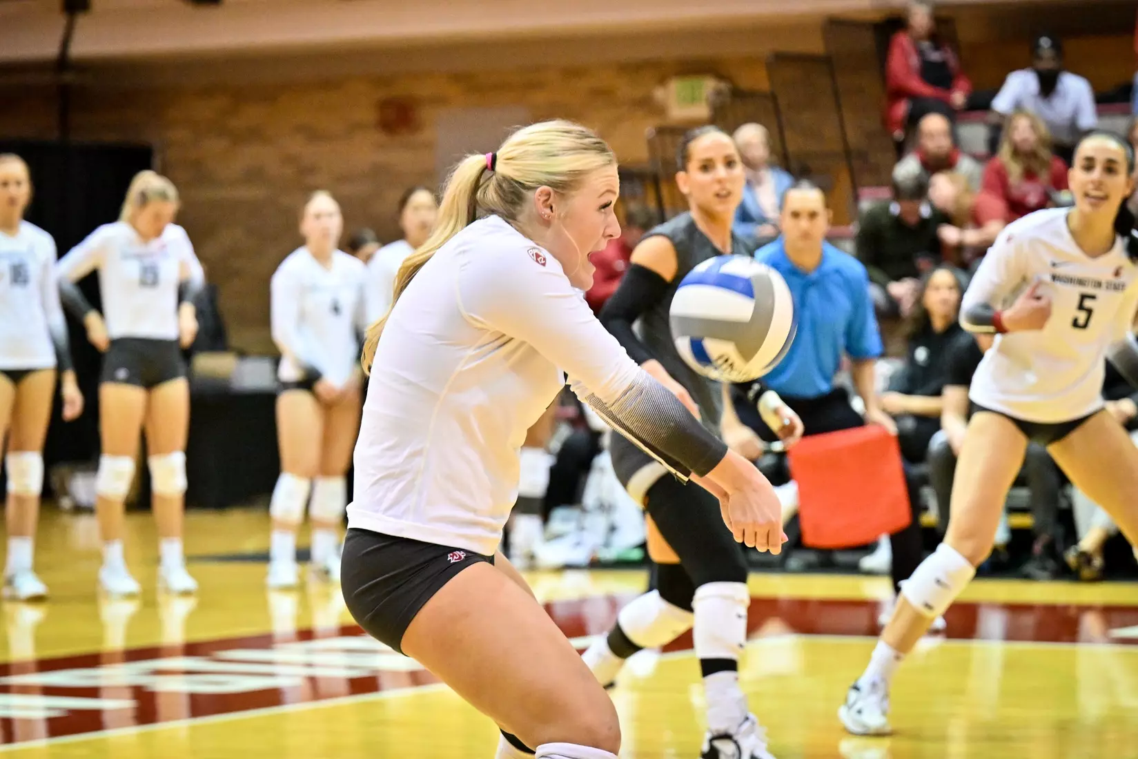 Washington State volleyball defeated Utah, 3-0 (25-20, 25-12, 25-18) on Friday, Nov. 18, 2022 in Bohler Gym.
