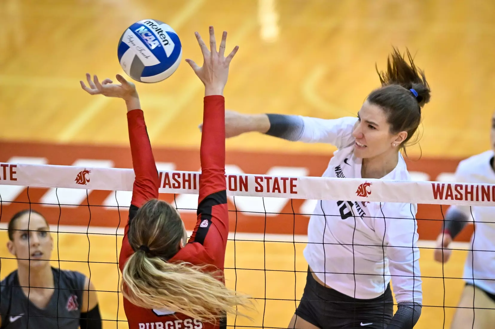 Washington State volleyball defeated Utah, 3-0 (25-20, 25-12, 25-18) on Friday, Nov. 18, 2022 in Bohler Gym.