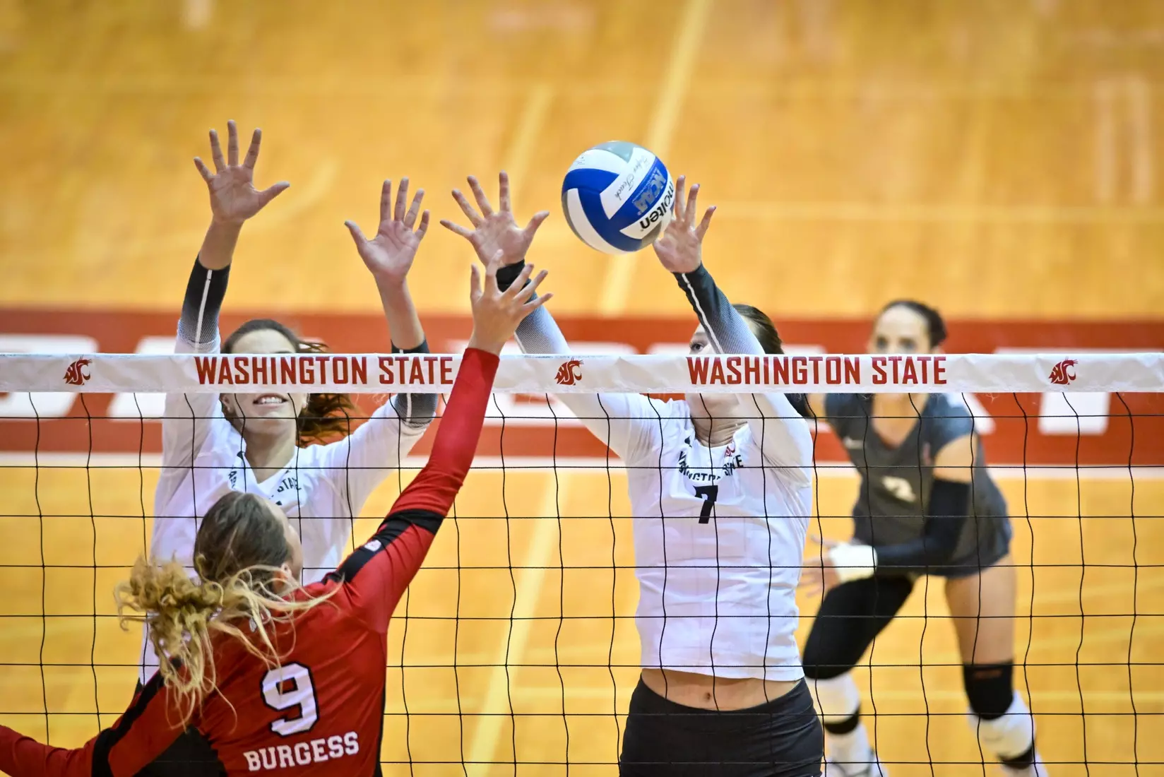 Washington State volleyball defeated Utah, 3-0 (25-20, 25-12, 25-18) on Friday, Nov. 18, 2022 in Bohler Gym.