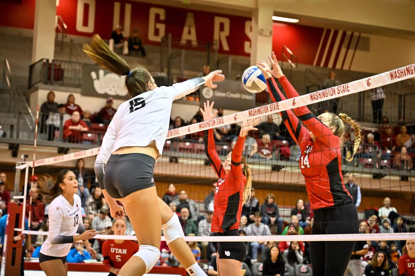Washington State volleyball defeated Utah, 3-0 (25-20, 25-12, 25-18) on Friday, Nov. 18, 2022 in Bohler Gym.