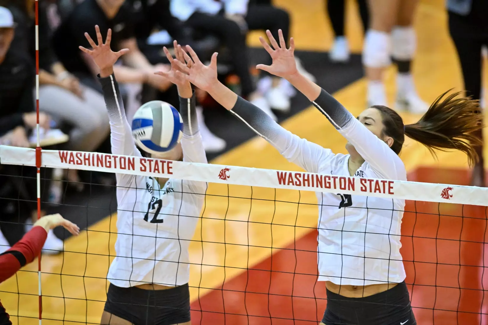 Washington State volleyball defeated Utah, 3-0 (25-20, 25-12, 25-18) on Friday, Nov. 18, 2022 in Bohler Gym.