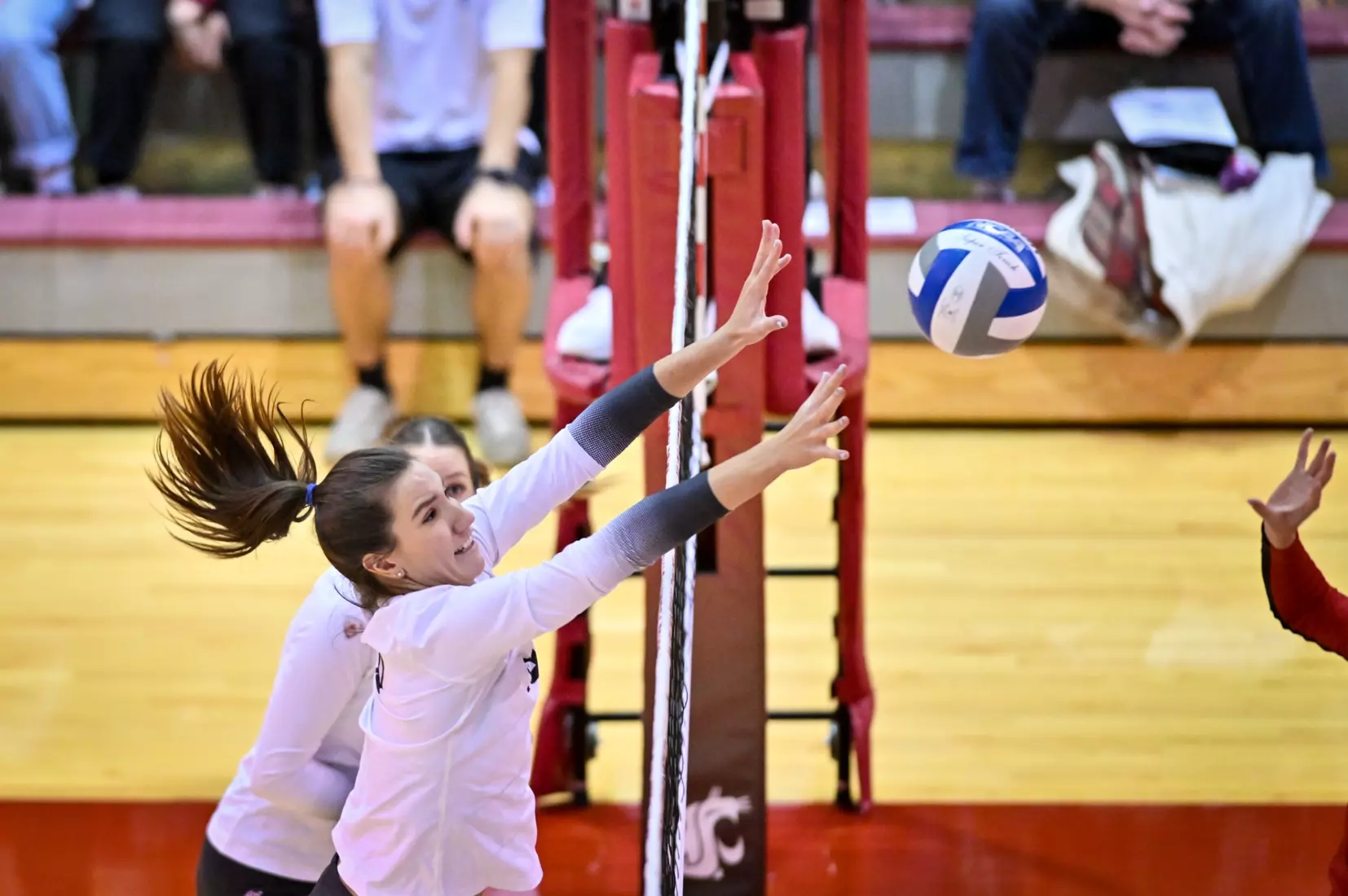 Washington State volleyball defeated Utah, 3-0 (25-20, 25-12, 25-18) on Friday, Nov. 18, 2022 in Bohler Gym.