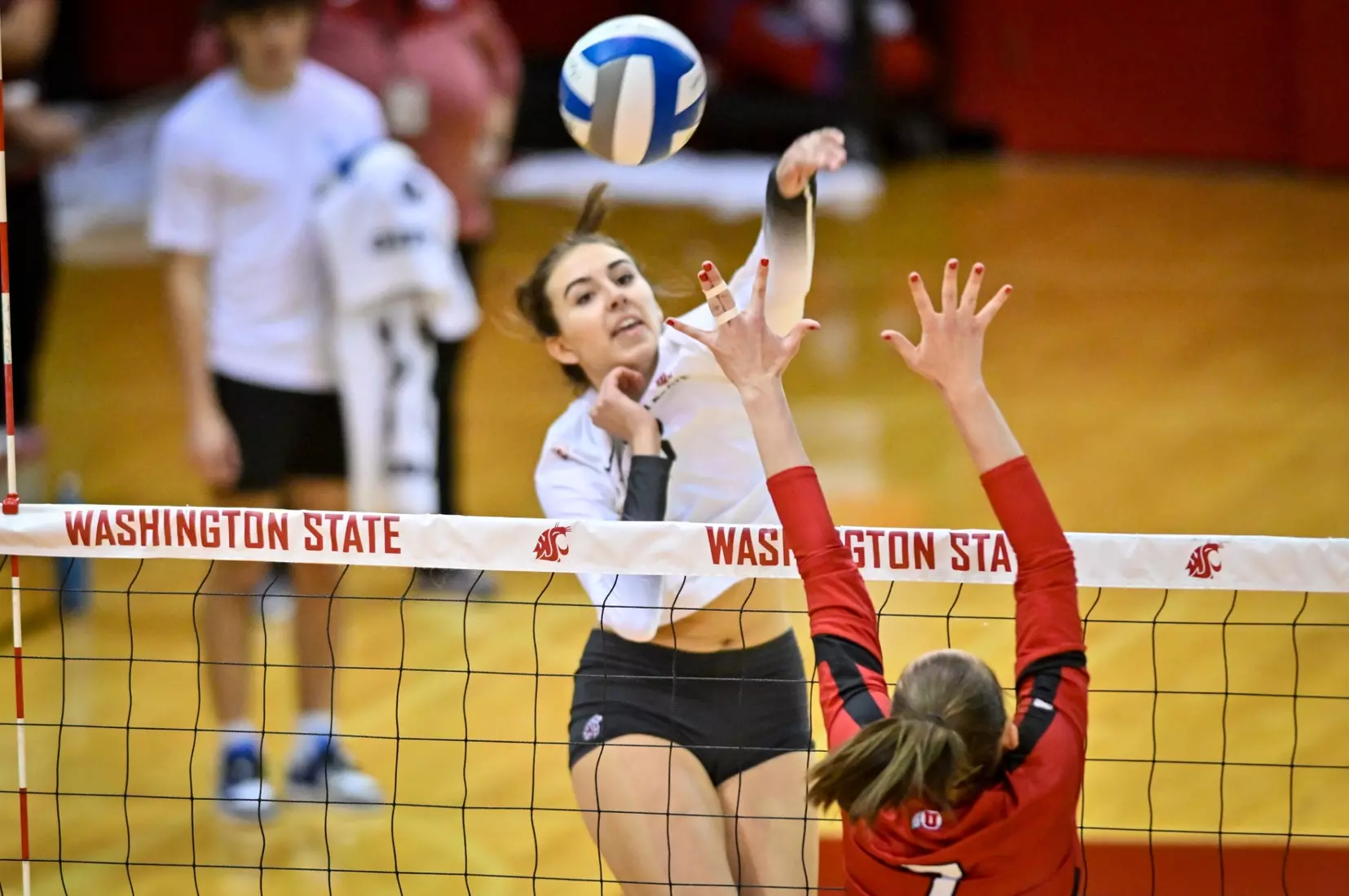 Washington State volleyball defeated Utah, 3-0 (25-20, 25-12, 25-18) on Friday, Nov. 18, 2022 in Bohler Gym.