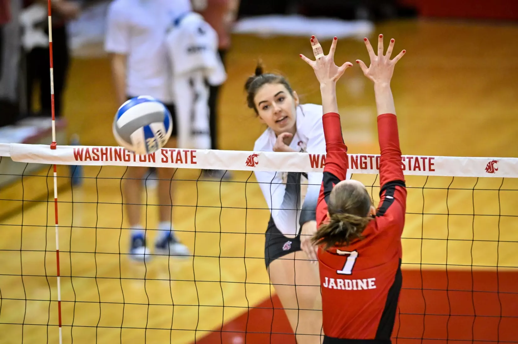 Washington State volleyball defeated Utah, 3-0 (25-20, 25-12, 25-18) on Friday, Nov. 18, 2022 in Bohler Gym.