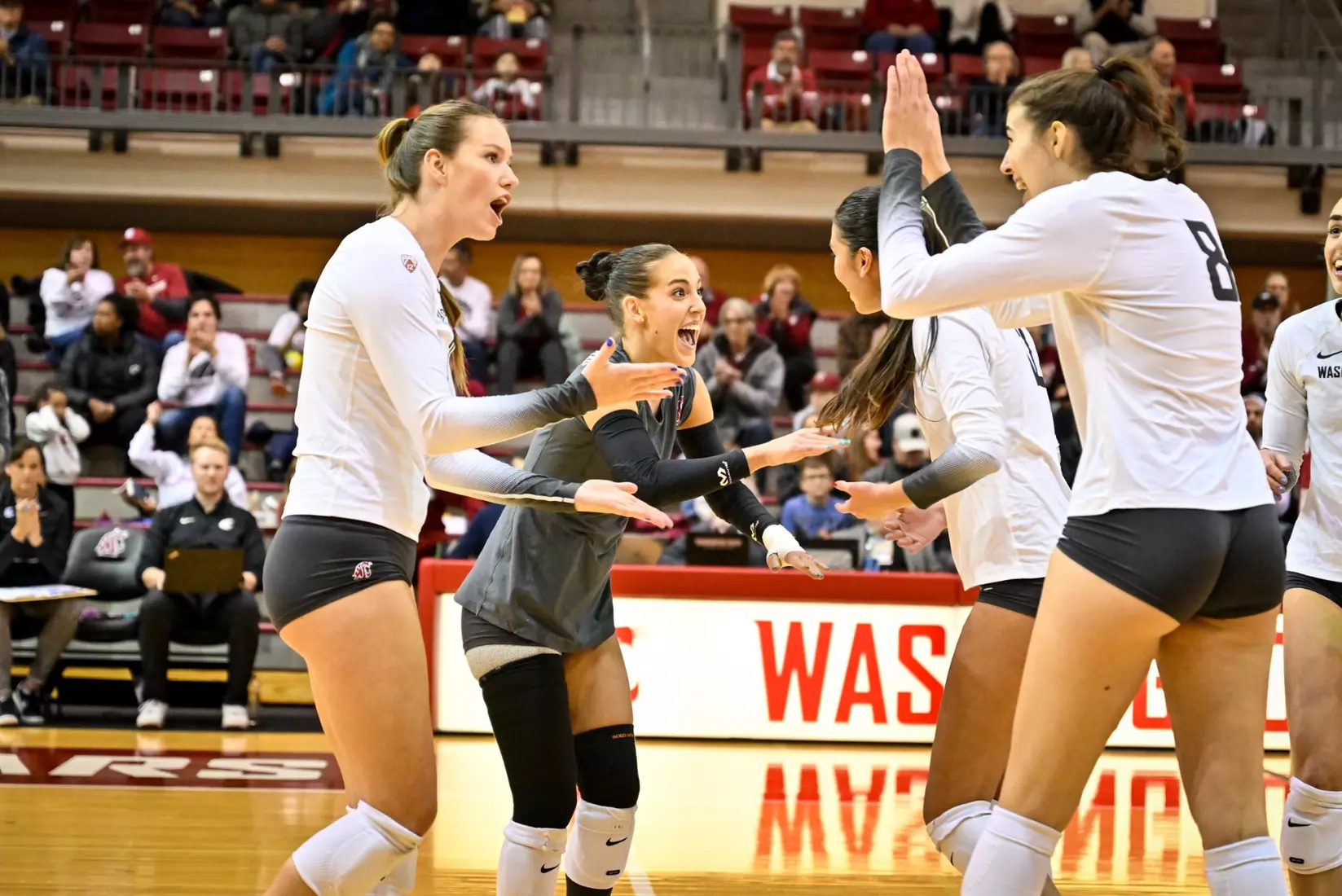 Washington State volleyball defeated Utah, 3-0 (25-20, 25-12, 25-18) on Friday, Nov. 18, 2022 in Bohler Gym.