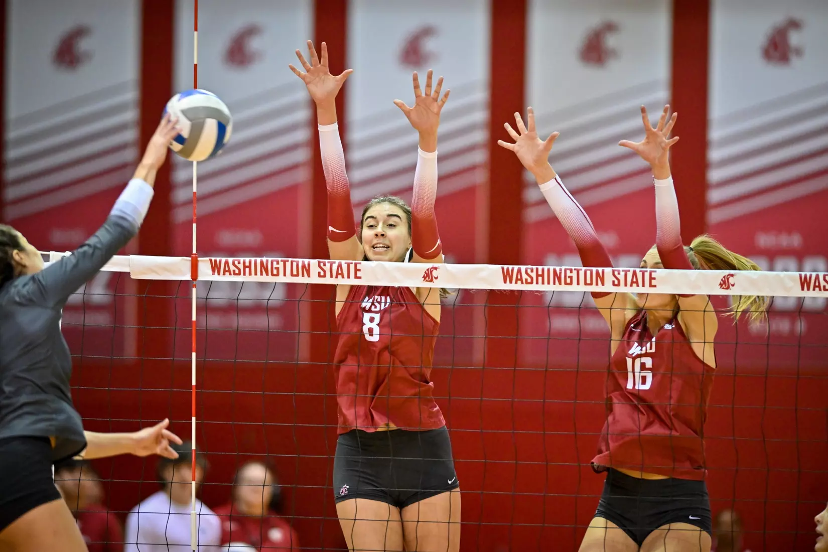 25th-ranked Washington State volleyball defeated Colorado, 3-1, on Sunday, Nov. 20, 2022, in Bohler Gym.