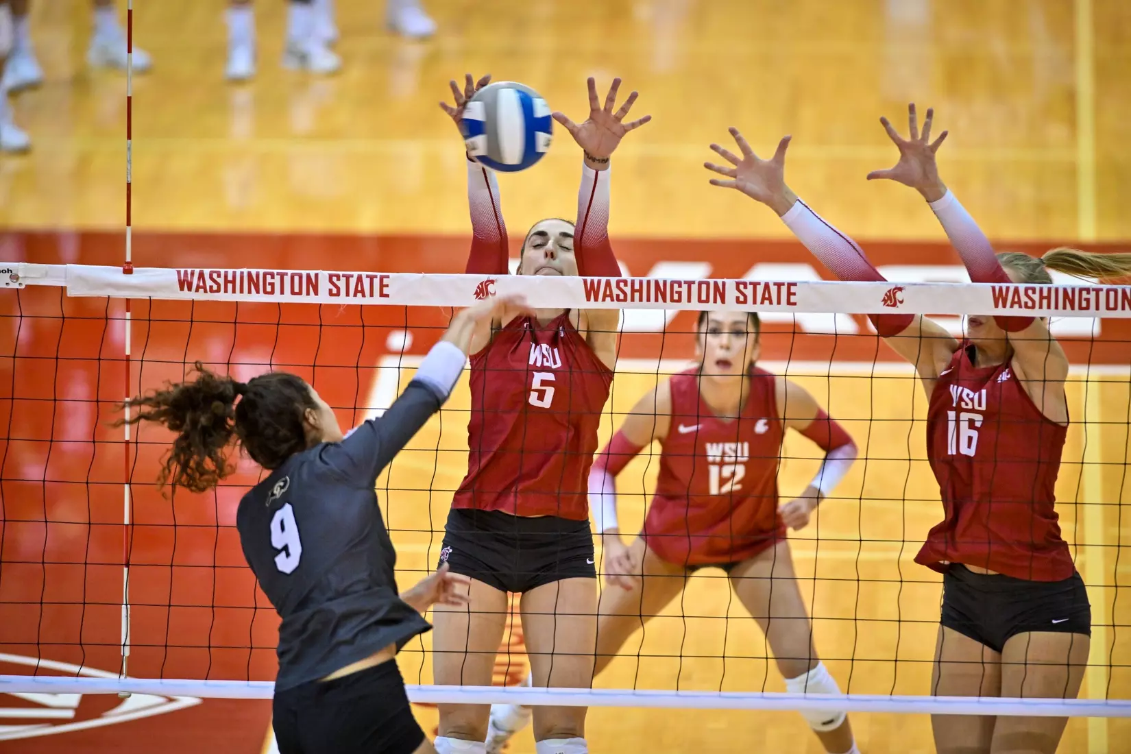 25th-ranked Washington State volleyball defeated Colorado, 3-1, on Sunday, Nov. 20, 2022, in Bohler Gym.
