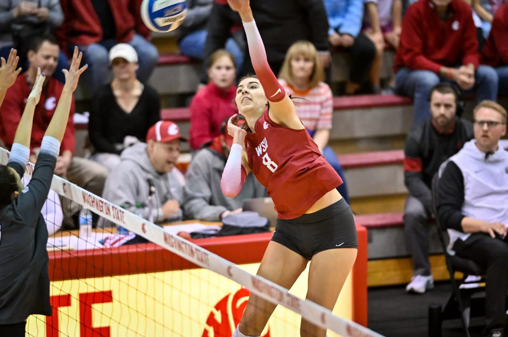 25th-ranked Washington State volleyball defeated Colorado, 3-1, on Sunday, Nov. 20, 2022, in Bohler Gym.