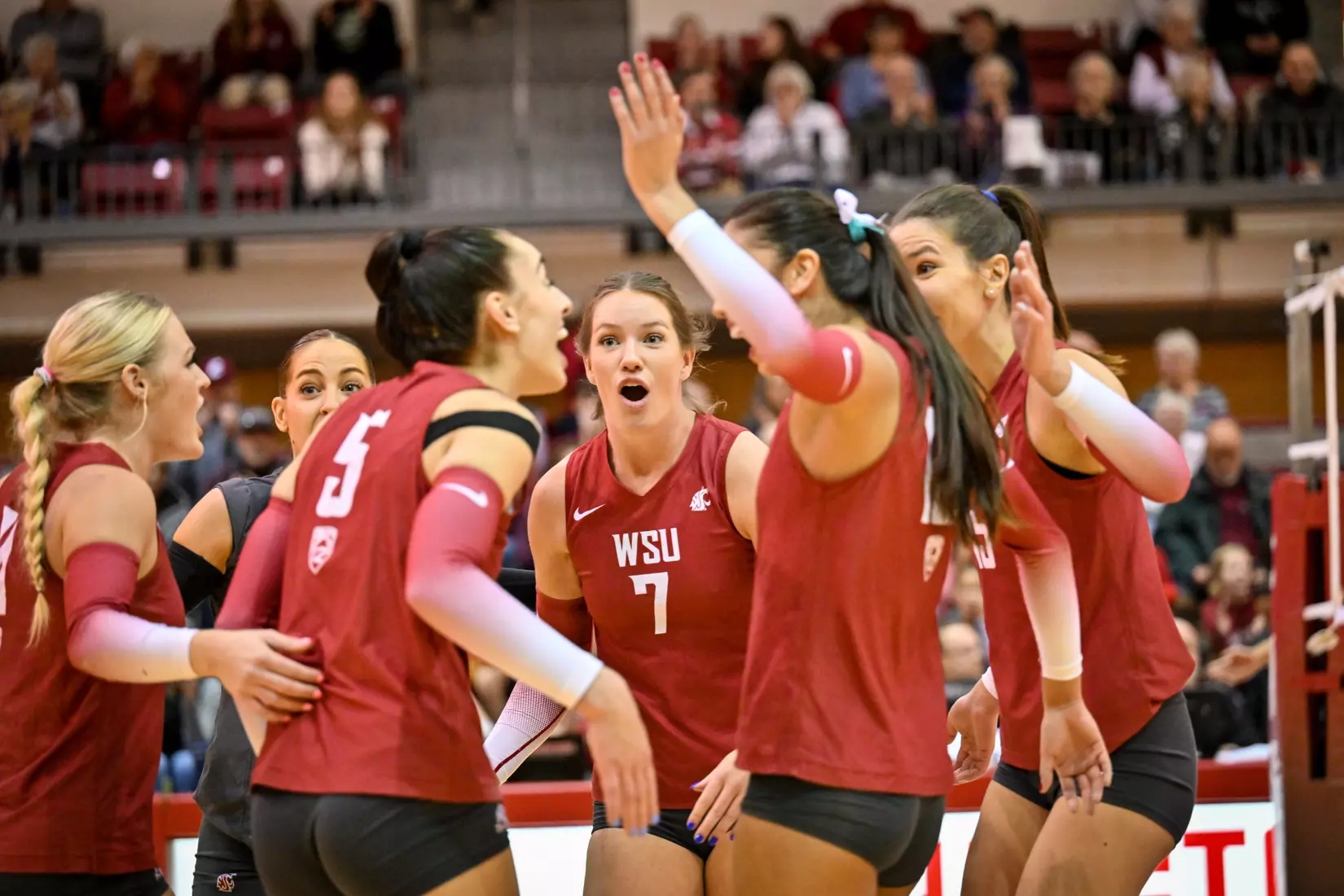 25th-ranked Washington State volleyball defeated Colorado, 3-1, on Sunday, Nov. 20, 2022, in Bohler Gym.