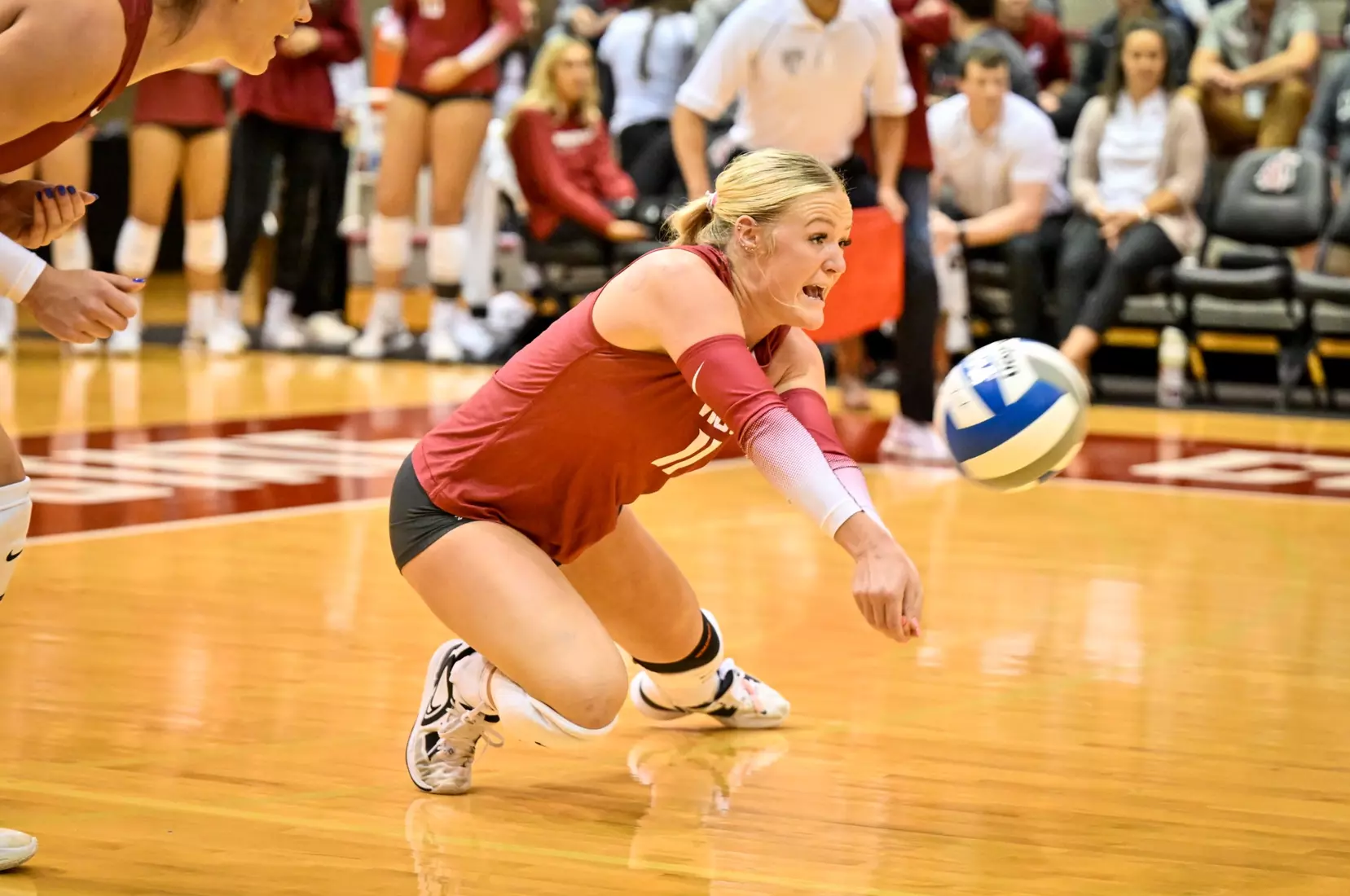 25th-ranked Washington State volleyball defeated Colorado, 3-1, on Sunday, Nov. 20, 2022, in Bohler Gym.