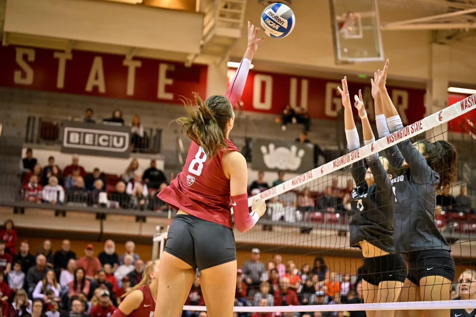 25th-ranked Washington State volleyball defeated Colorado, 3-1, on Sunday, Nov. 20, 2022, in Bohler Gym.