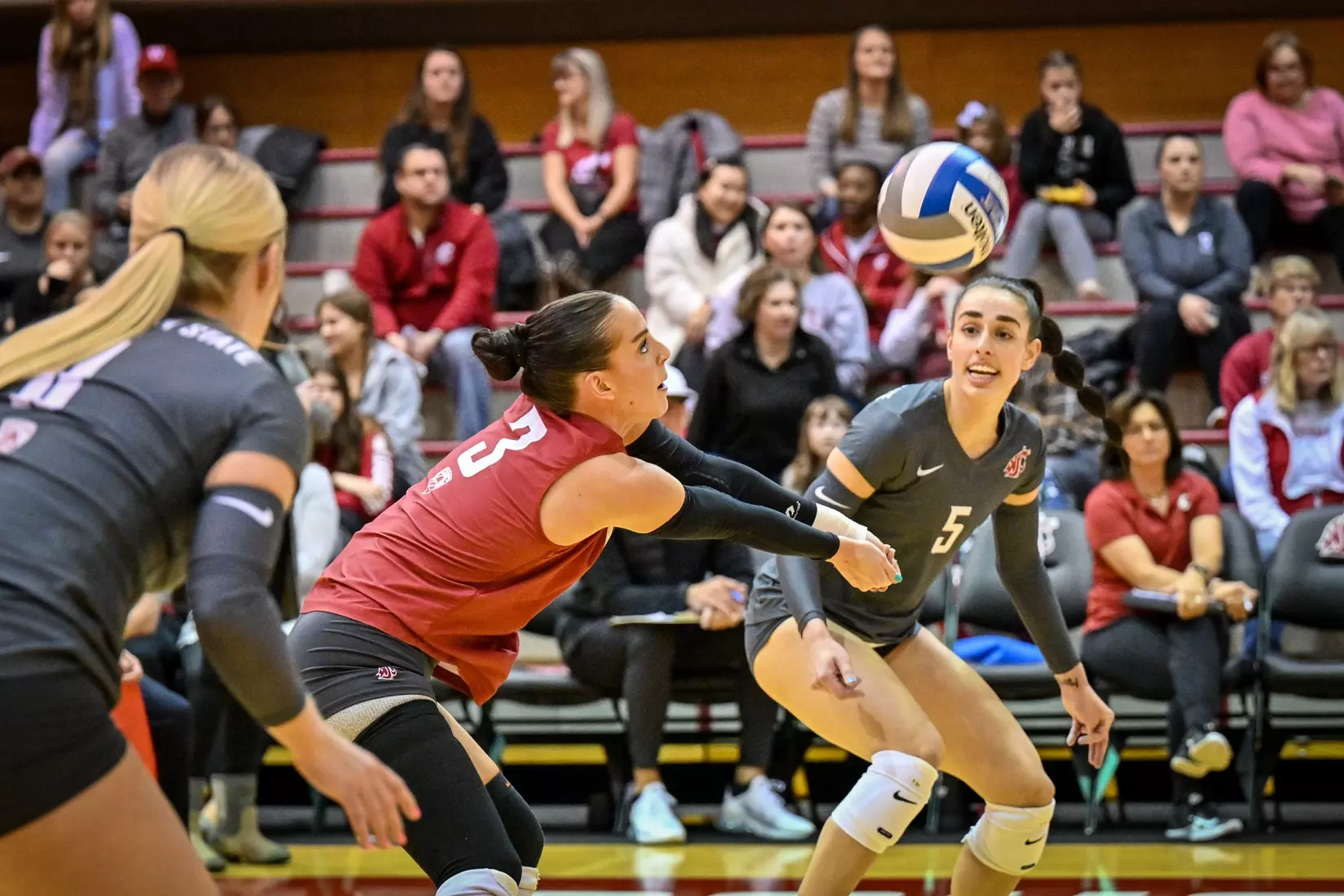 Washington State fell, 3-2, at the hands of UCLA on Tuesday, Nov. 22, 2022, in Bohler Gym.
