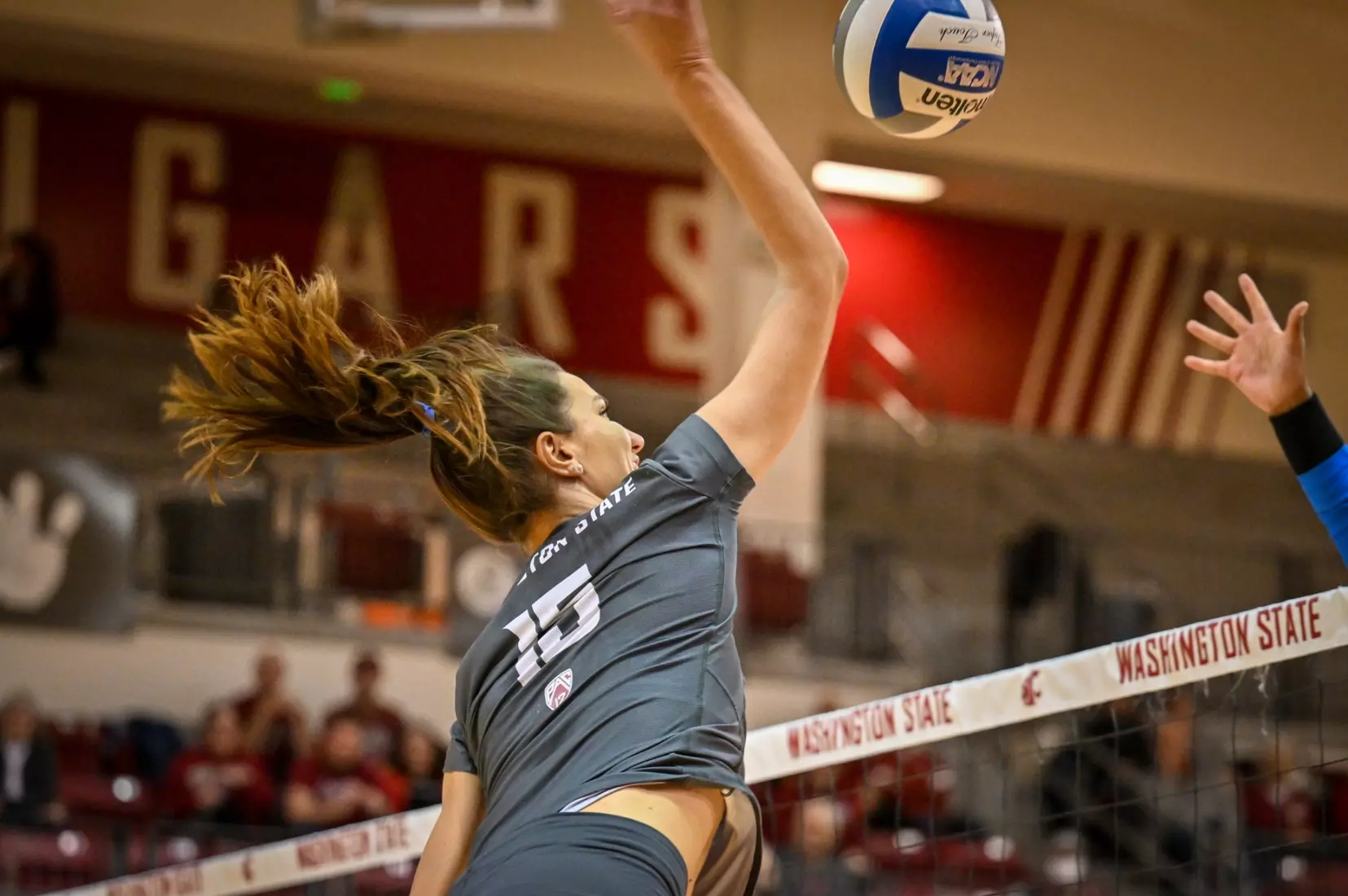 Washington State fell, 3-2, at the hands of UCLA on Tuesday, Nov. 22, 2022, in Bohler Gym.