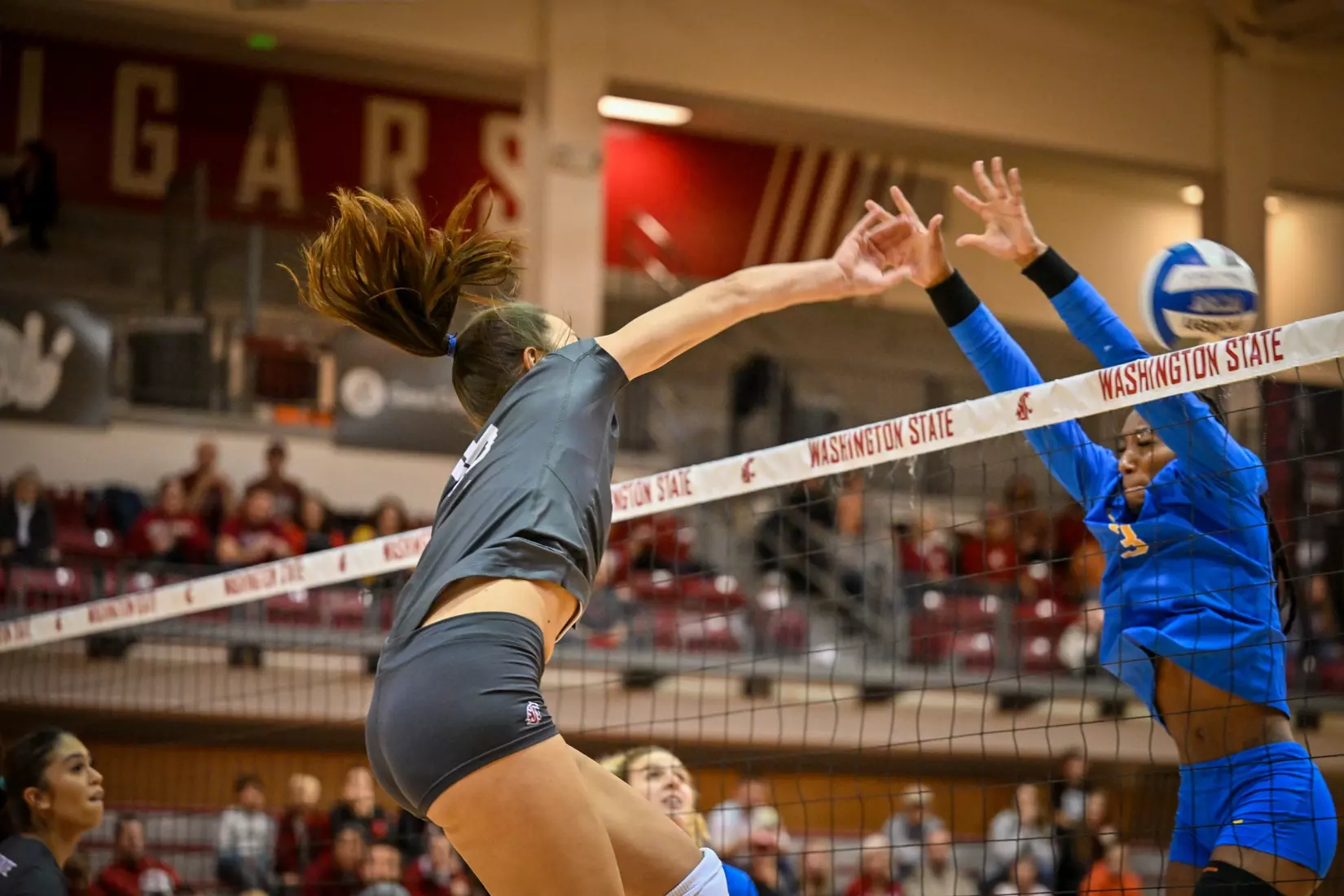 Washington State fell, 3-2, at the hands of UCLA on Tuesday, Nov. 22, 2022, in Bohler Gym.