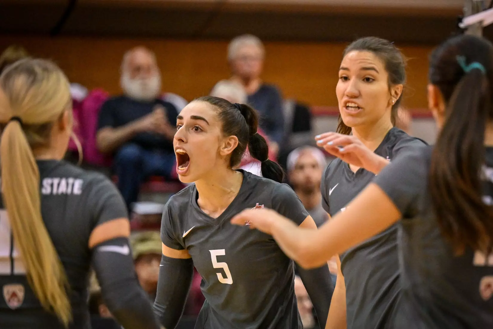 Washington State fell, 3-2, at the hands of UCLA on Tuesday, Nov. 22, 2022, in Bohler Gym.