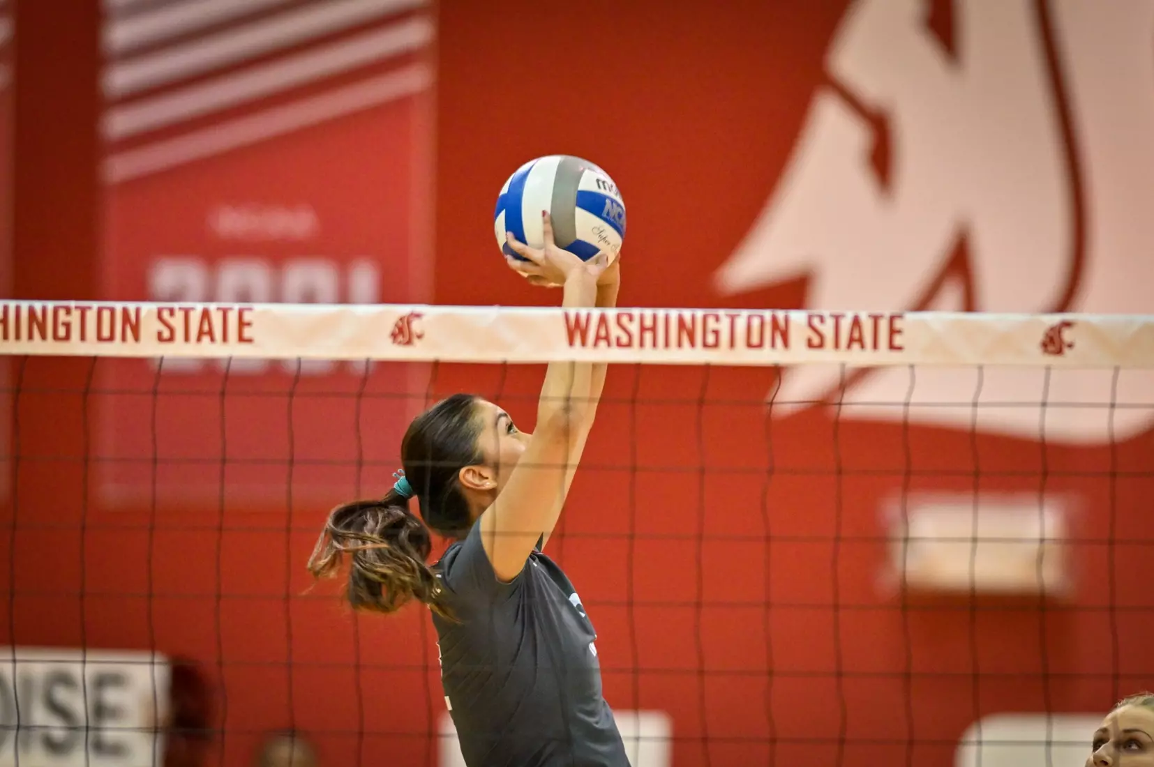 Washington State fell, 3-2, at the hands of UCLA on Tuesday, Nov. 22, 2022, in Bohler Gym.