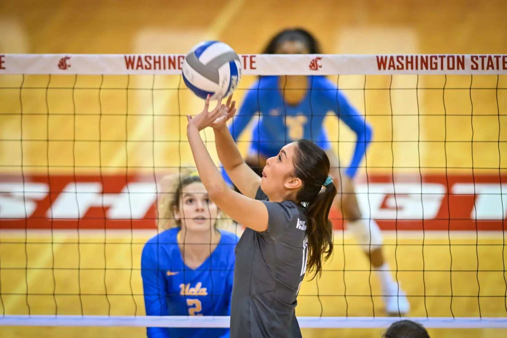 Washington State fell, 3-2, at the hands of UCLA on Tuesday, Nov. 22, 2022, in Bohler Gym.