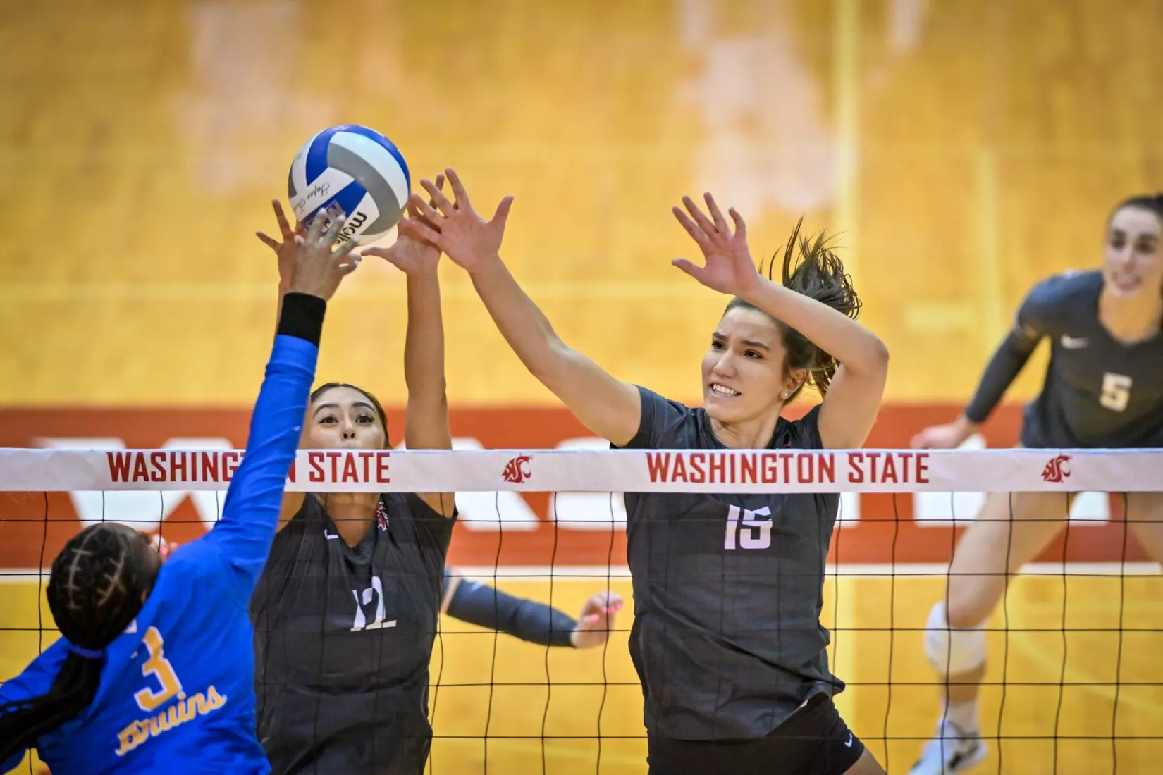 Washington State fell, 3-2, at the hands of UCLA on Tuesday, Nov. 22, 2022, in Bohler Gym.
