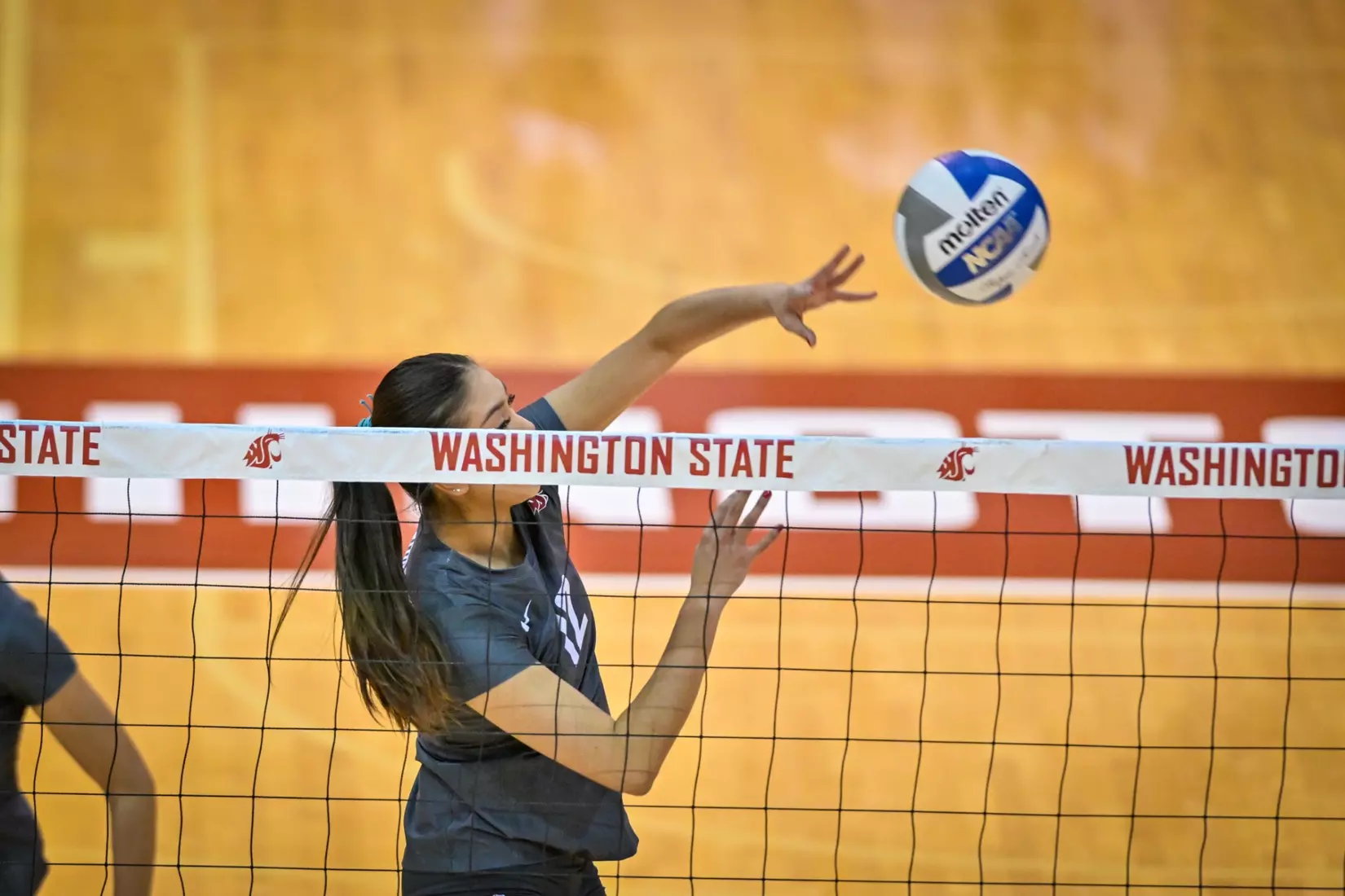 Washington State fell, 3-2, at the hands of UCLA on Tuesday, Nov. 22, 2022, in Bohler Gym.