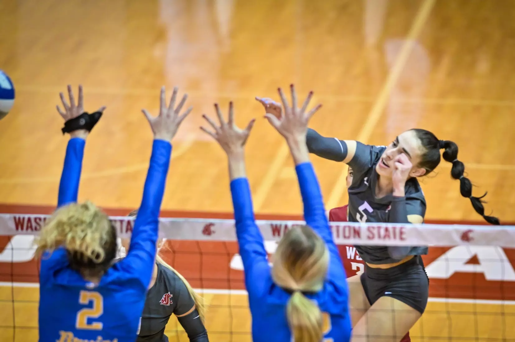 Washington State fell, 3-2, at the hands of UCLA on Tuesday, Nov. 22, 2022, in Bohler Gym.