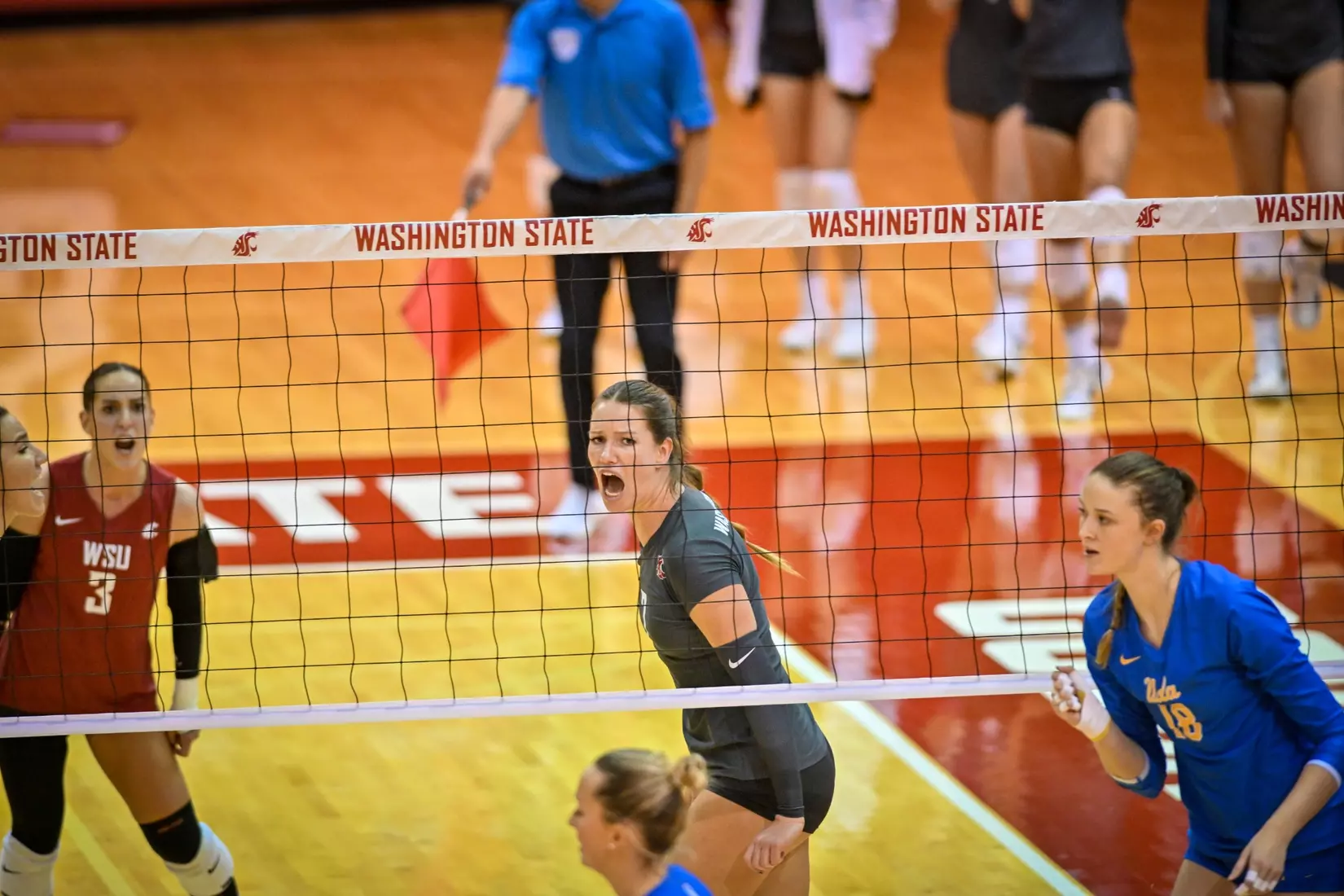 Washington State fell, 3-2, at the hands of UCLA on Tuesday, Nov. 22, 2022, in Bohler Gym.