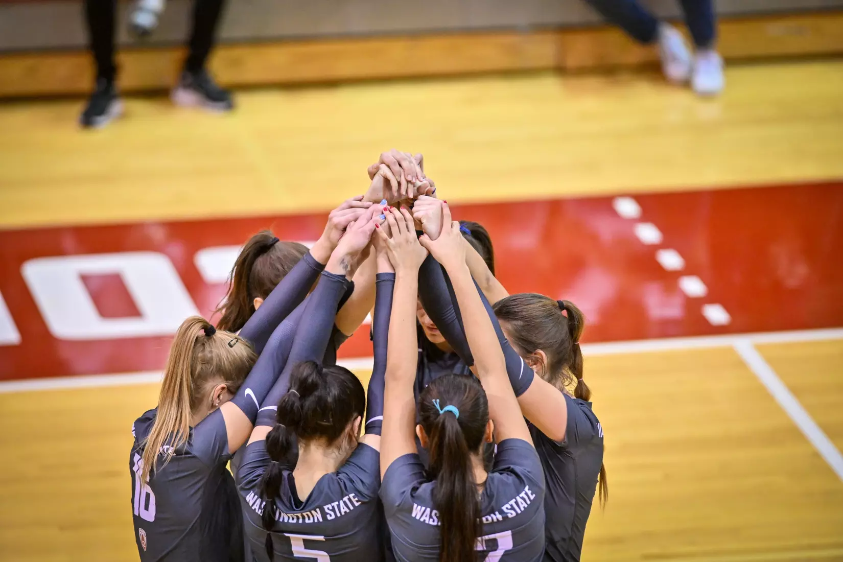 Washington State fell, 3-2, at the hands of UCLA on Tuesday, Nov. 22, 2022, in Bohler Gym.