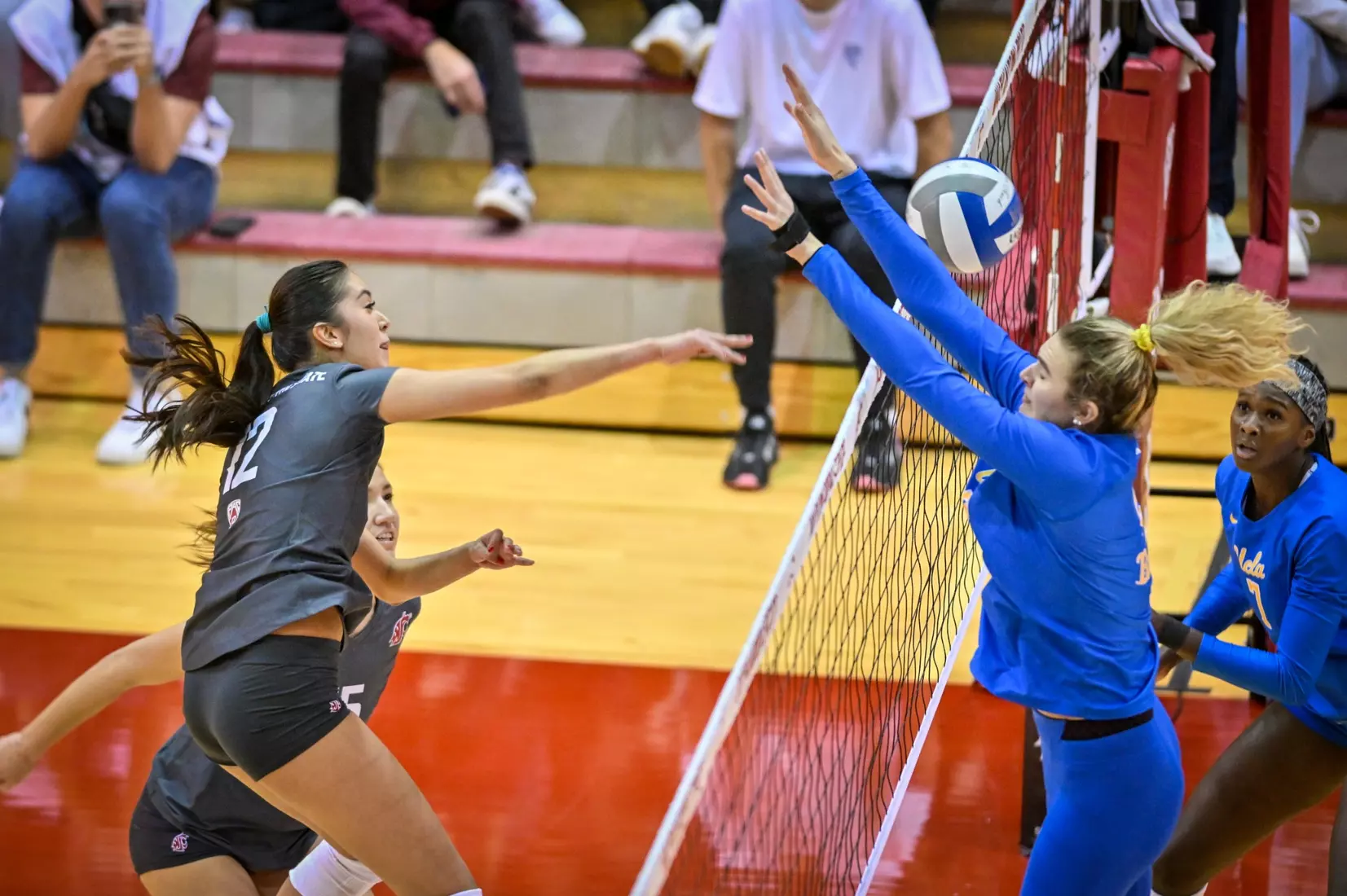 Washington State fell, 3-2, at the hands of UCLA on Tuesday, Nov. 22, 2022, in Bohler Gym.