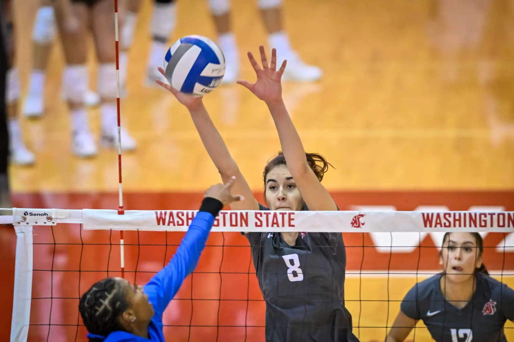 Washington State fell, 3-2, at the hands of UCLA on Tuesday, Nov. 22, 2022, in Bohler Gym.