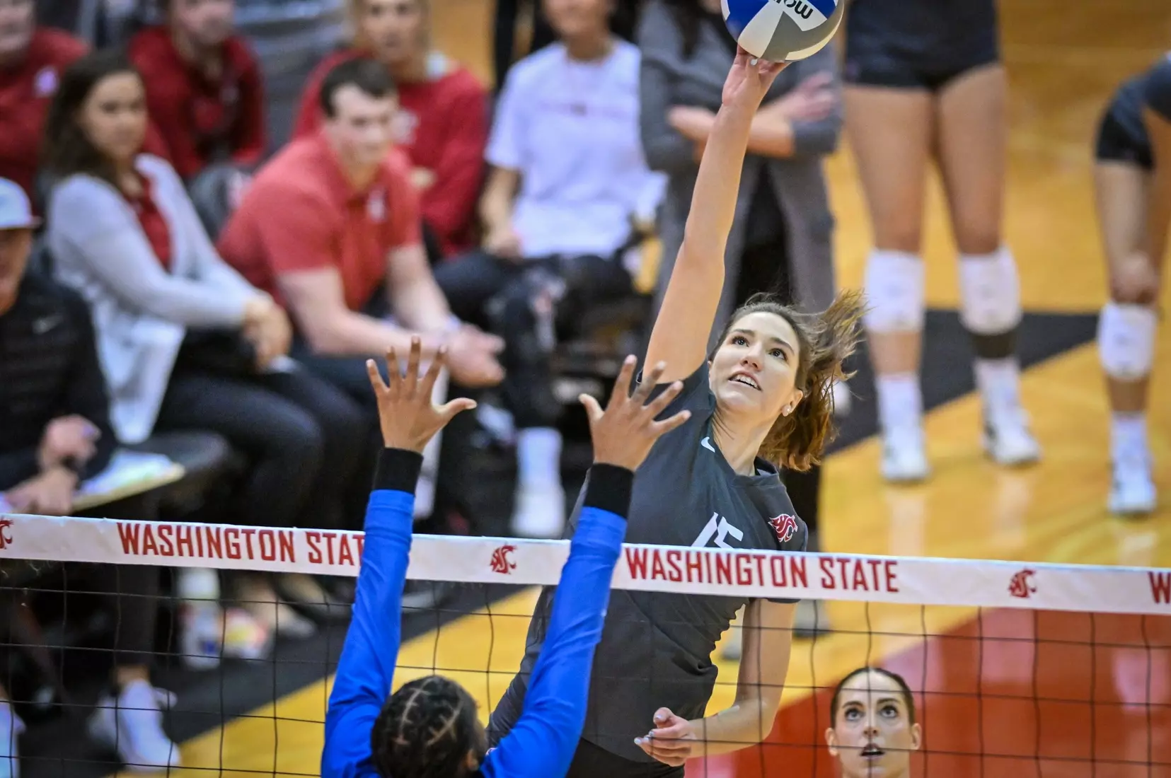 Washington State fell, 3-2, at the hands of UCLA on Tuesday, Nov. 22, 2022, in Bohler Gym.