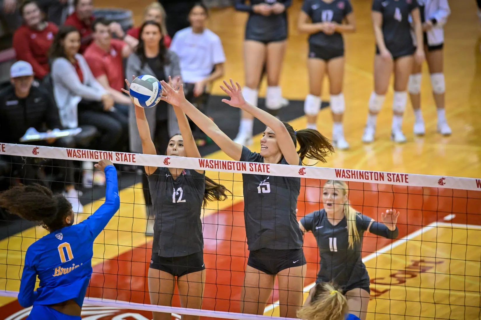 Washington State fell, 3-2, at the hands of UCLA on Tuesday, Nov. 22, 2022, in Bohler Gym.