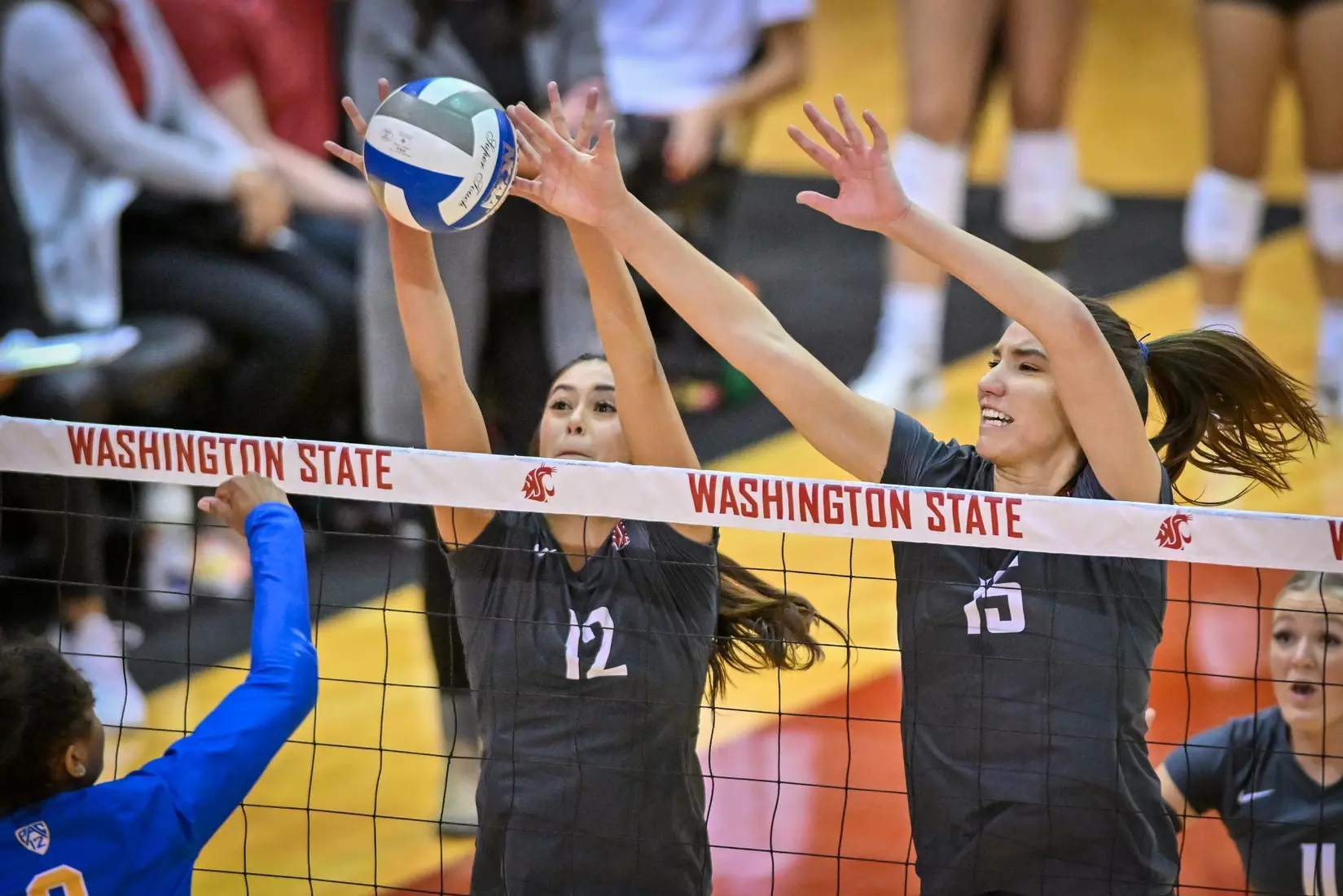 Washington State fell, 3-2, at the hands of UCLA on Tuesday, Nov. 22, 2022, in Bohler Gym.