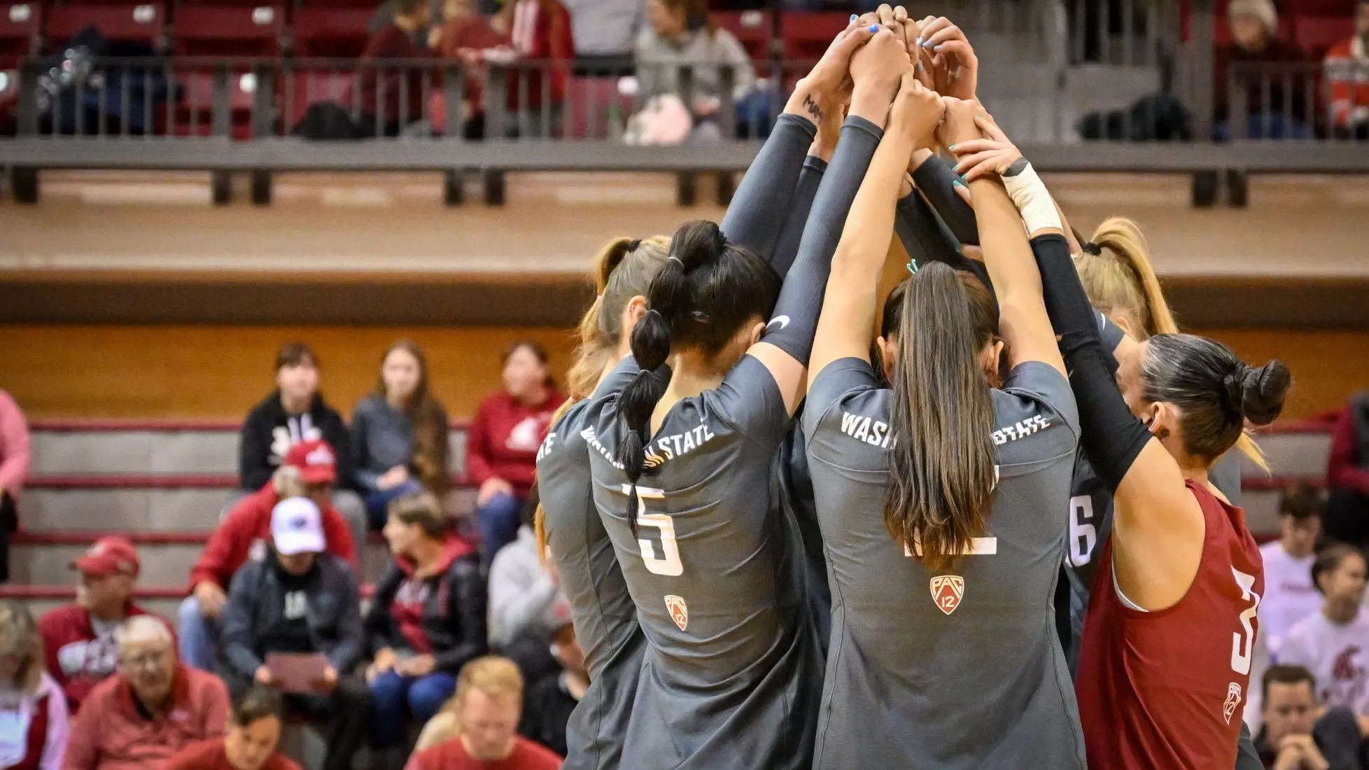 Washington State fell, 3-2, at the hands of UCLA on Tuesday, Nov. 22, 2022, in Bohler Gym.