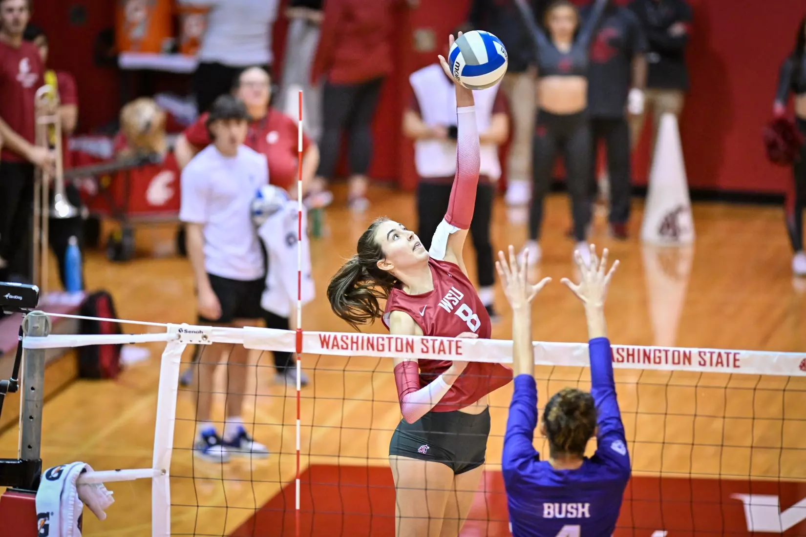 25th-ranked Washington State defeated 24th-ranked Washington, 3-0, on Friday, Nov. 25, 2022, in Bohler Gym.