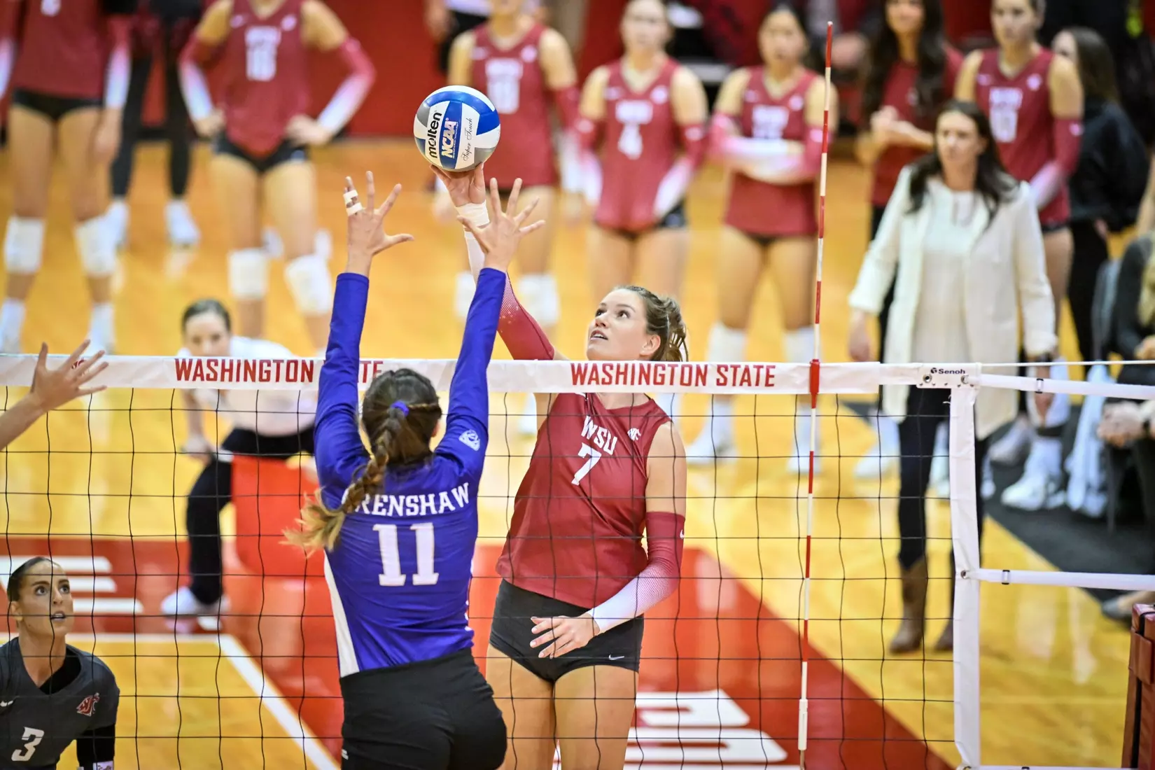 25th-ranked Washington State defeated 24th-ranked Washington, 3-0, on Friday, Nov. 25, 2022, in Bohler Gym.