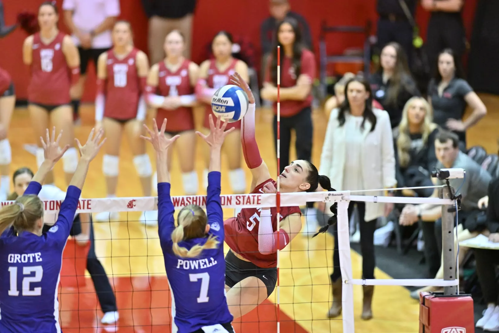 25th-ranked Washington State defeated 24th-ranked Washington, 3-0, on Friday, Nov. 25, 2022, in Bohler Gym.