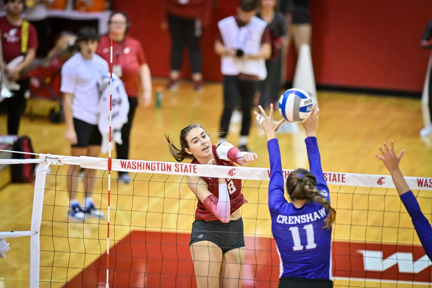 25th-ranked Washington State defeated 24th-ranked Washington, 3-0, on Friday, Nov. 25, 2022, in Bohler Gym.