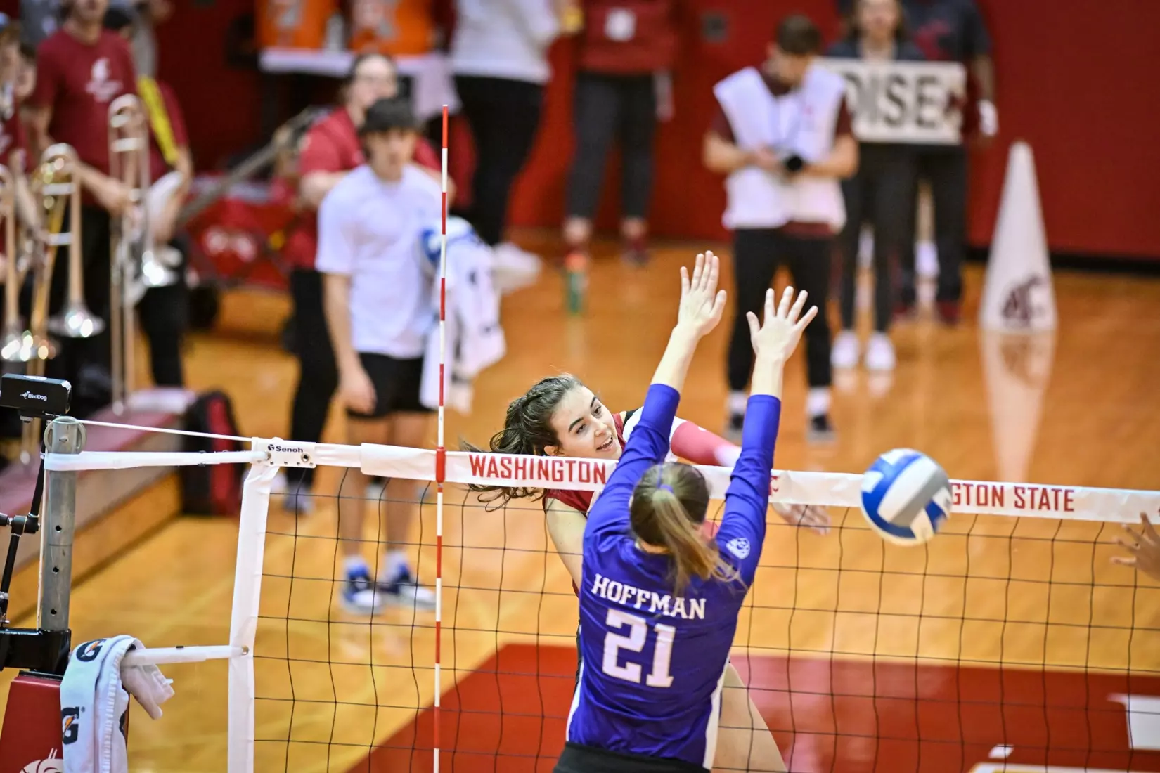25th-ranked Washington State defeated 24th-ranked Washington, 3-0, on Friday, Nov. 25, 2022, in Bohler Gym.