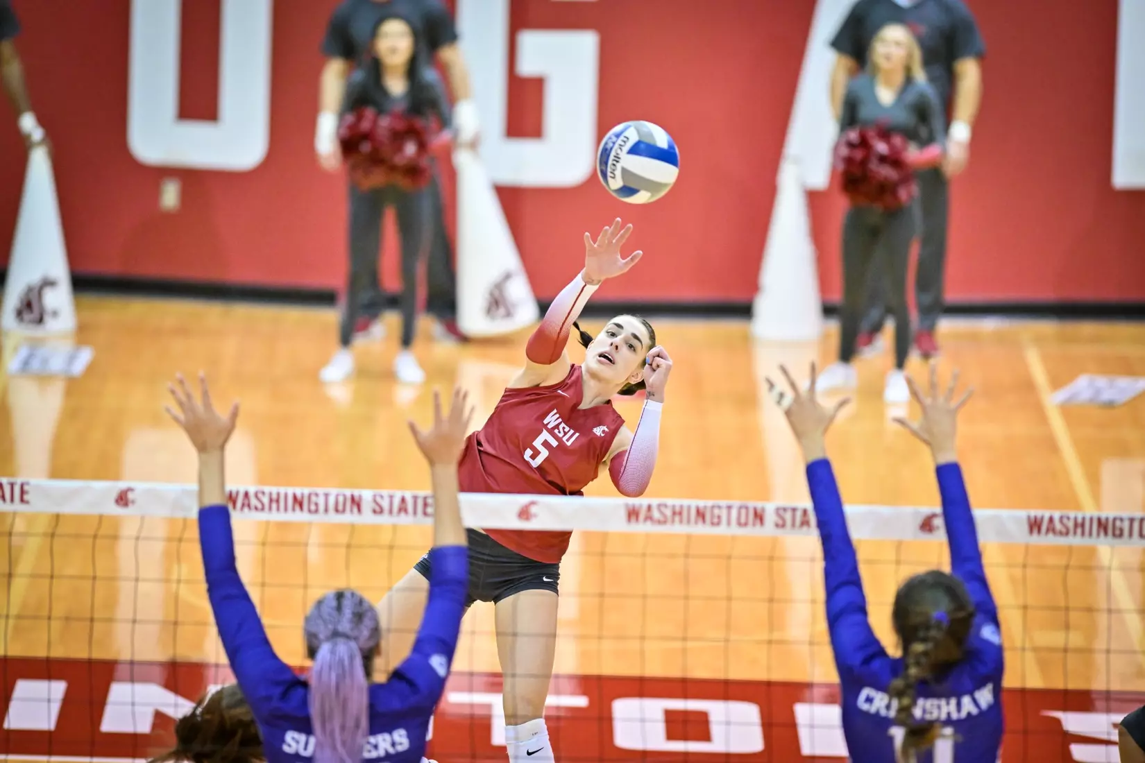 25th-ranked Washington State defeated 24th-ranked Washington, 3-0, on Friday, Nov. 25, 2022, in Bohler Gym.