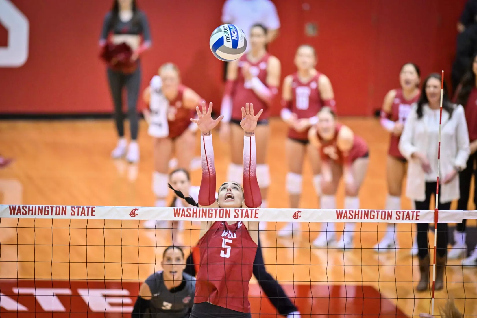 25th-ranked Washington State defeated 24th-ranked Washington, 3-0, on Friday, Nov. 25, 2022, in Bohler Gym.