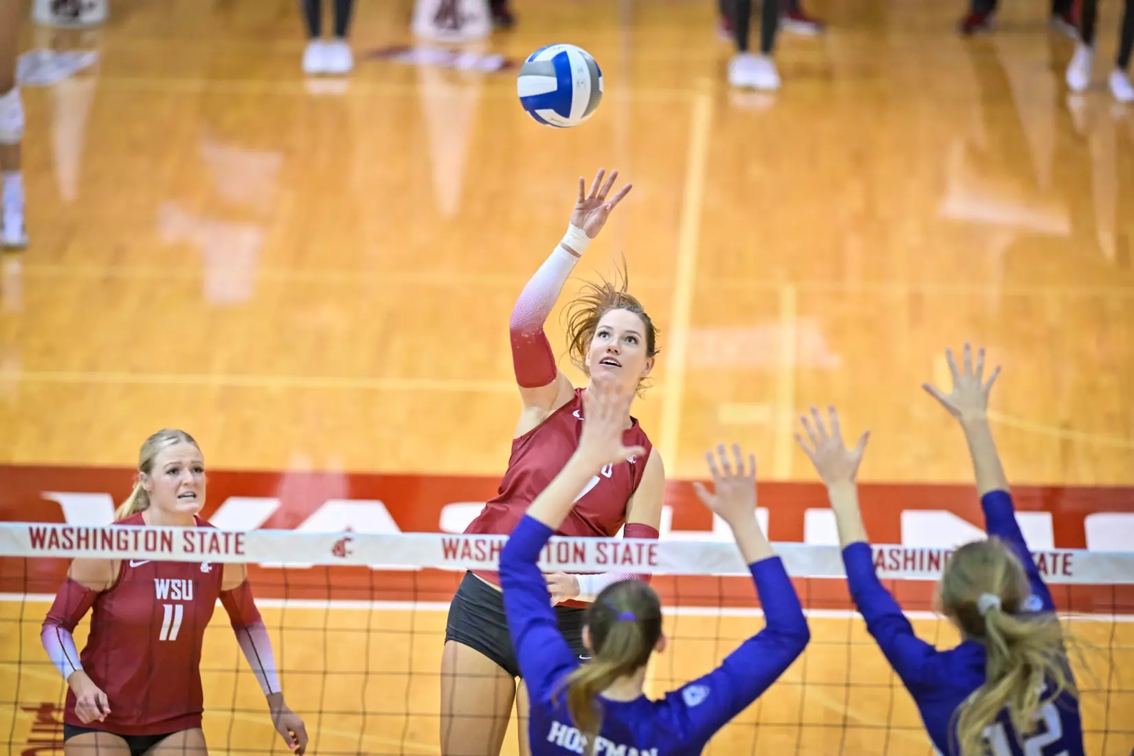 25th-ranked Washington State defeated 24th-ranked Washington, 3-0, on Friday, Nov. 25, 2022, in Bohler Gym.