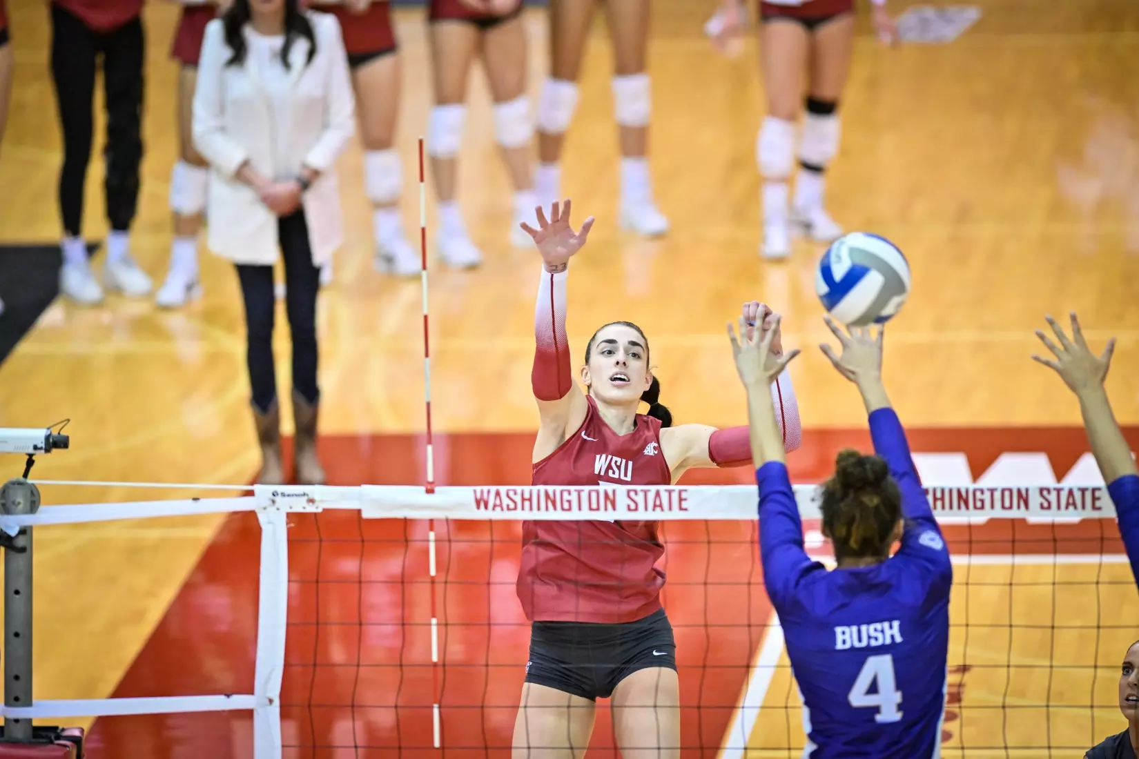 25th-ranked Washington State defeated 24th-ranked Washington, 3-0, on Friday, Nov. 25, 2022, in Bohler Gym.