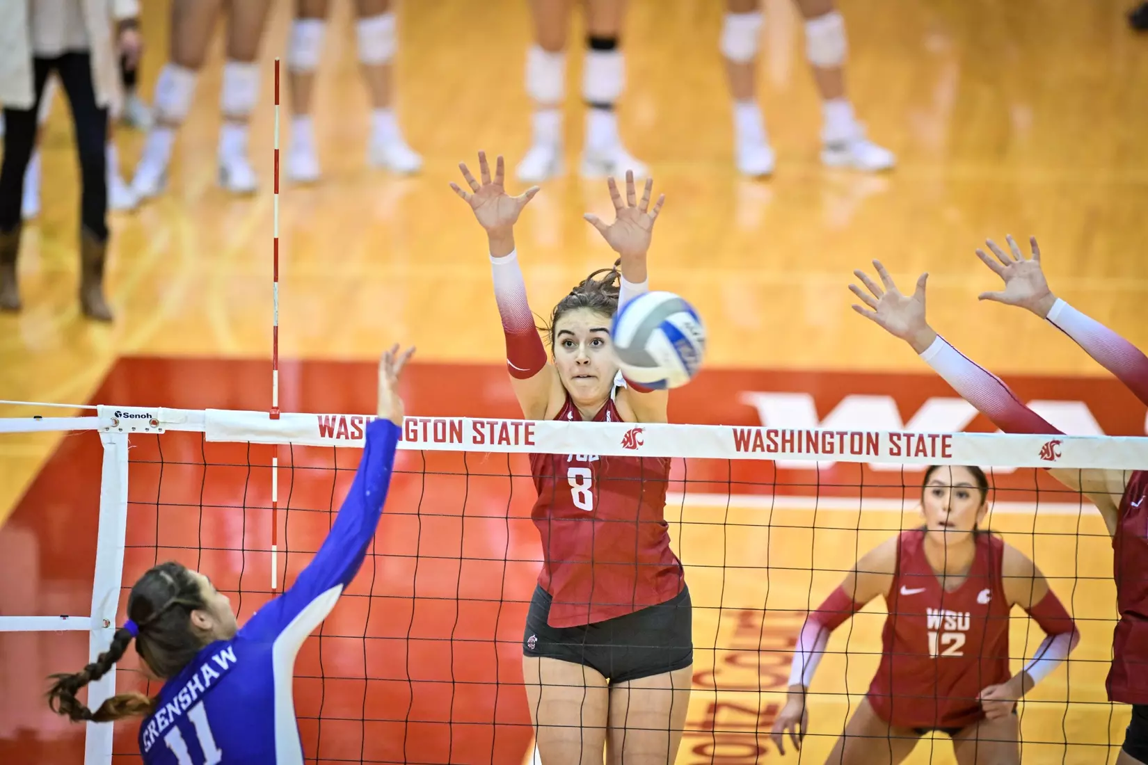 25th-ranked Washington State defeated 24th-ranked Washington, 3-0, on Friday, Nov. 25, 2022, in Bohler Gym.