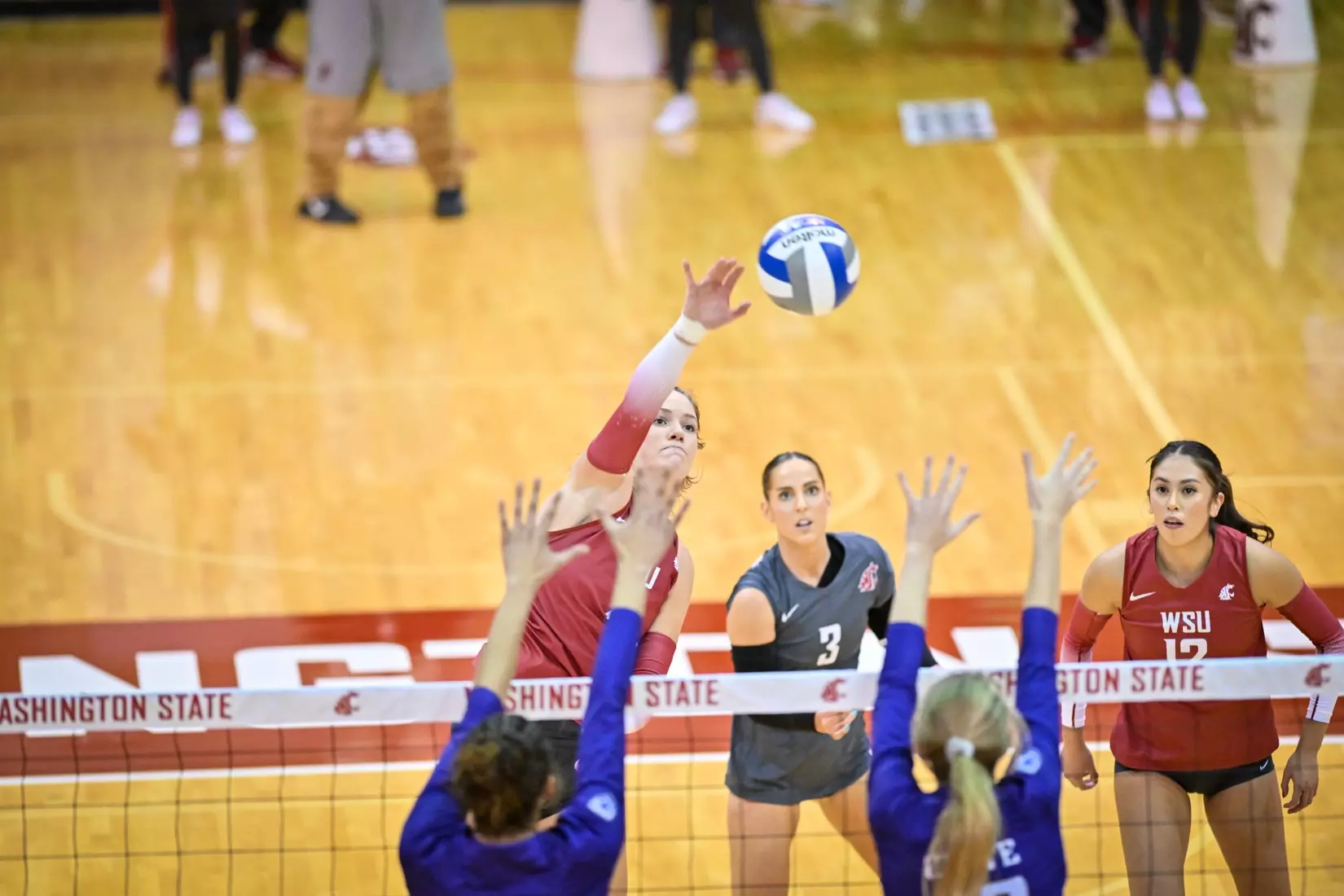 25th-ranked Washington State defeated 24th-ranked Washington, 3-0, on Friday, Nov. 25, 2022, in Bohler Gym.