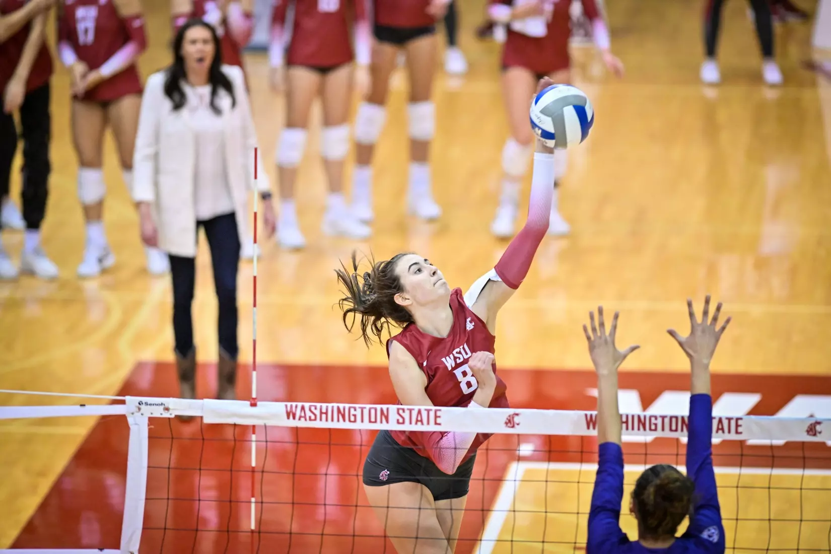 25th-ranked Washington State defeated 24th-ranked Washington, 3-0, on Friday, Nov. 25, 2022, in Bohler Gym.