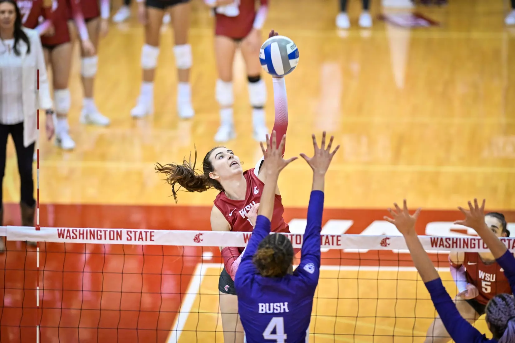 25th-ranked Washington State defeated 24th-ranked Washington, 3-0, on Friday, Nov. 25, 2022, in Bohler Gym.