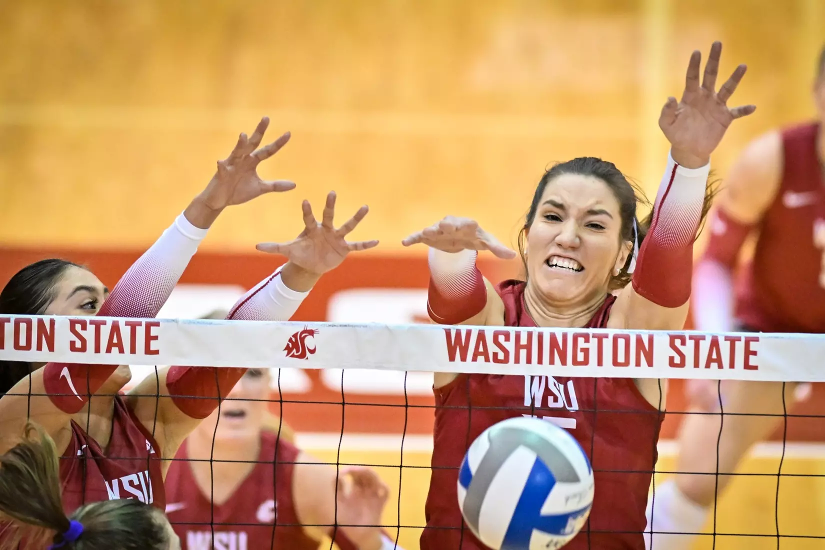 25th-ranked Washington State defeated 24th-ranked Washington, 3-0, on Friday, Nov. 25, 2022, in Bohler Gym.
