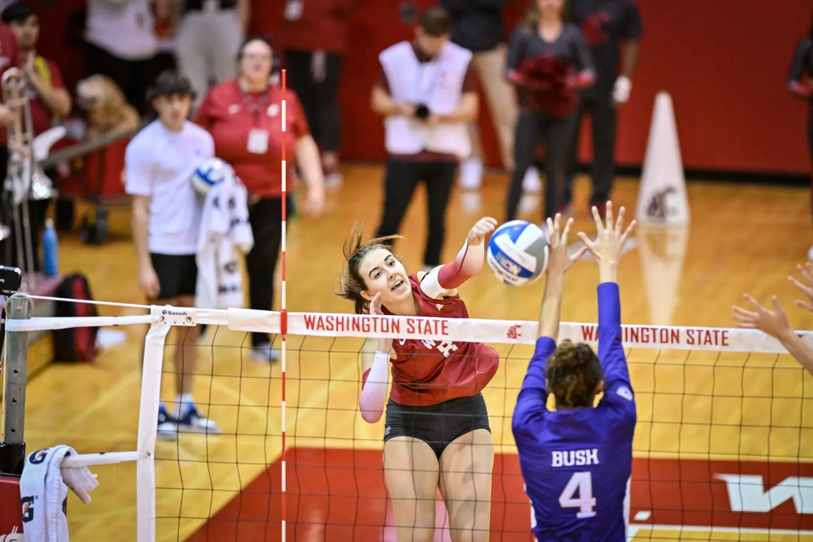 25th-ranked Washington State defeated 24th-ranked Washington, 3-0, on Friday, Nov. 25, 2022, in Bohler Gym.