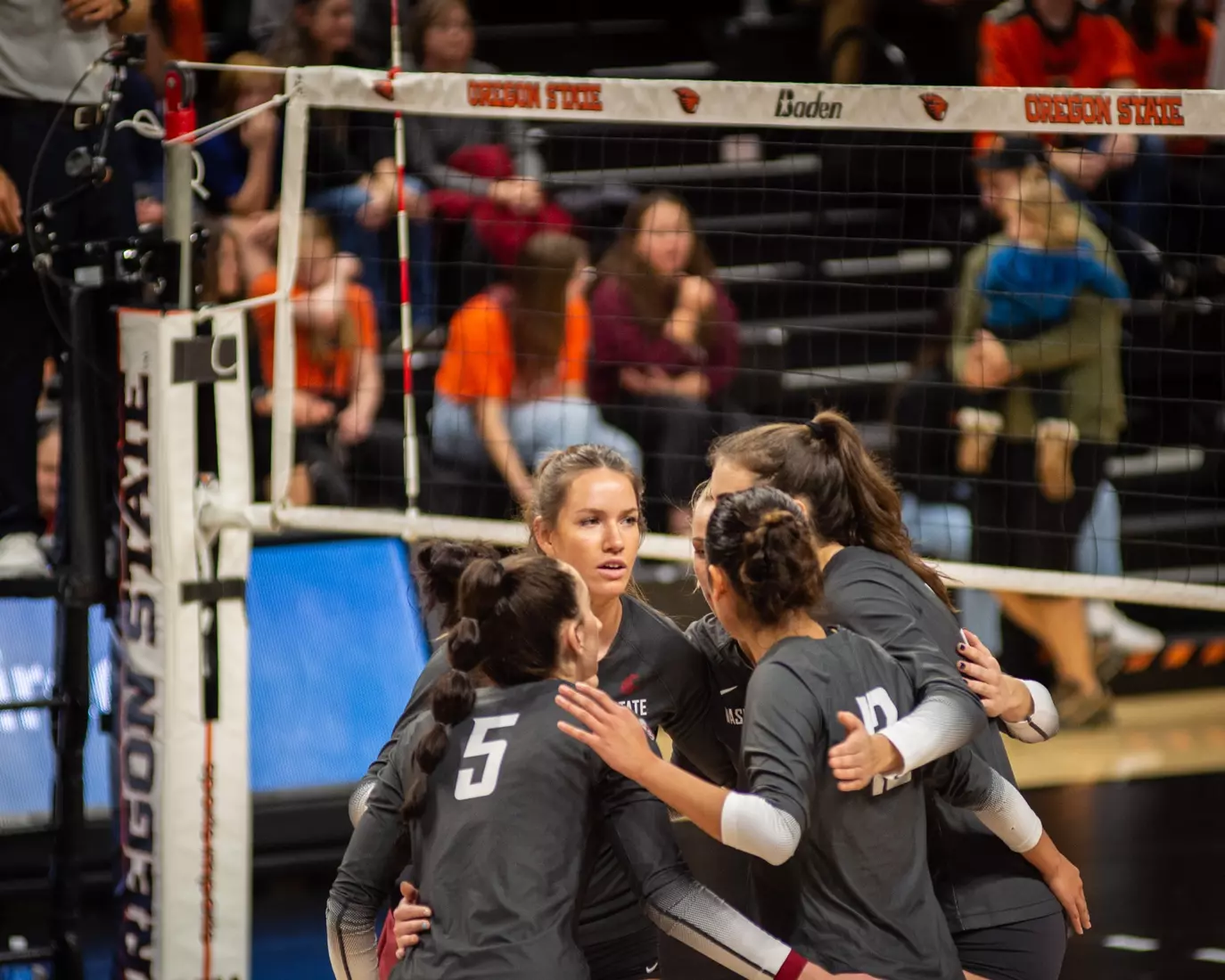 Washington State defeated Oregon State, 3-0, on Friday, Nov. 4, 2022, at Gill Coliseum.