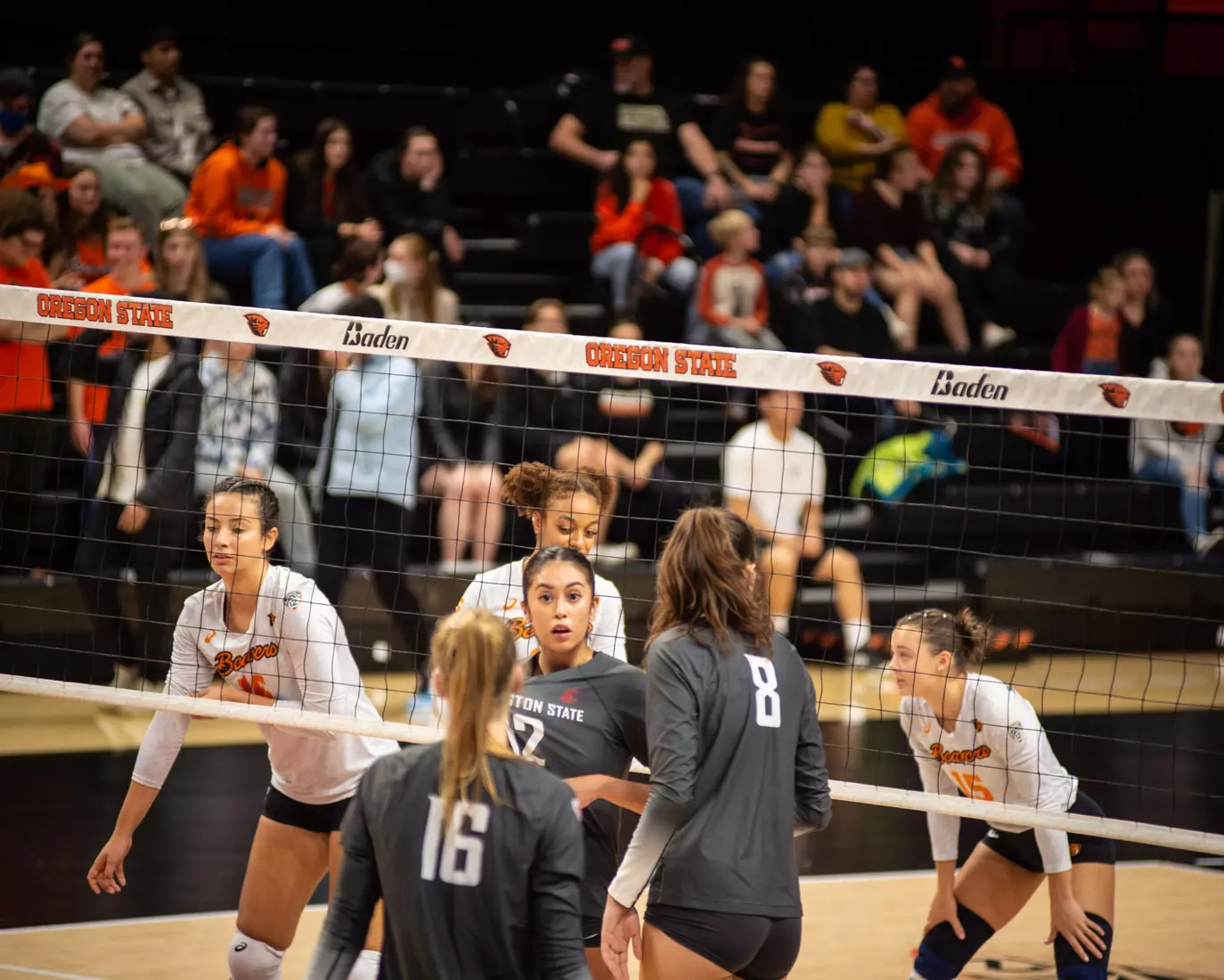 Washington State defeated Oregon State, 3-0, on Friday, Nov. 4, 2022, at Gill Coliseum.